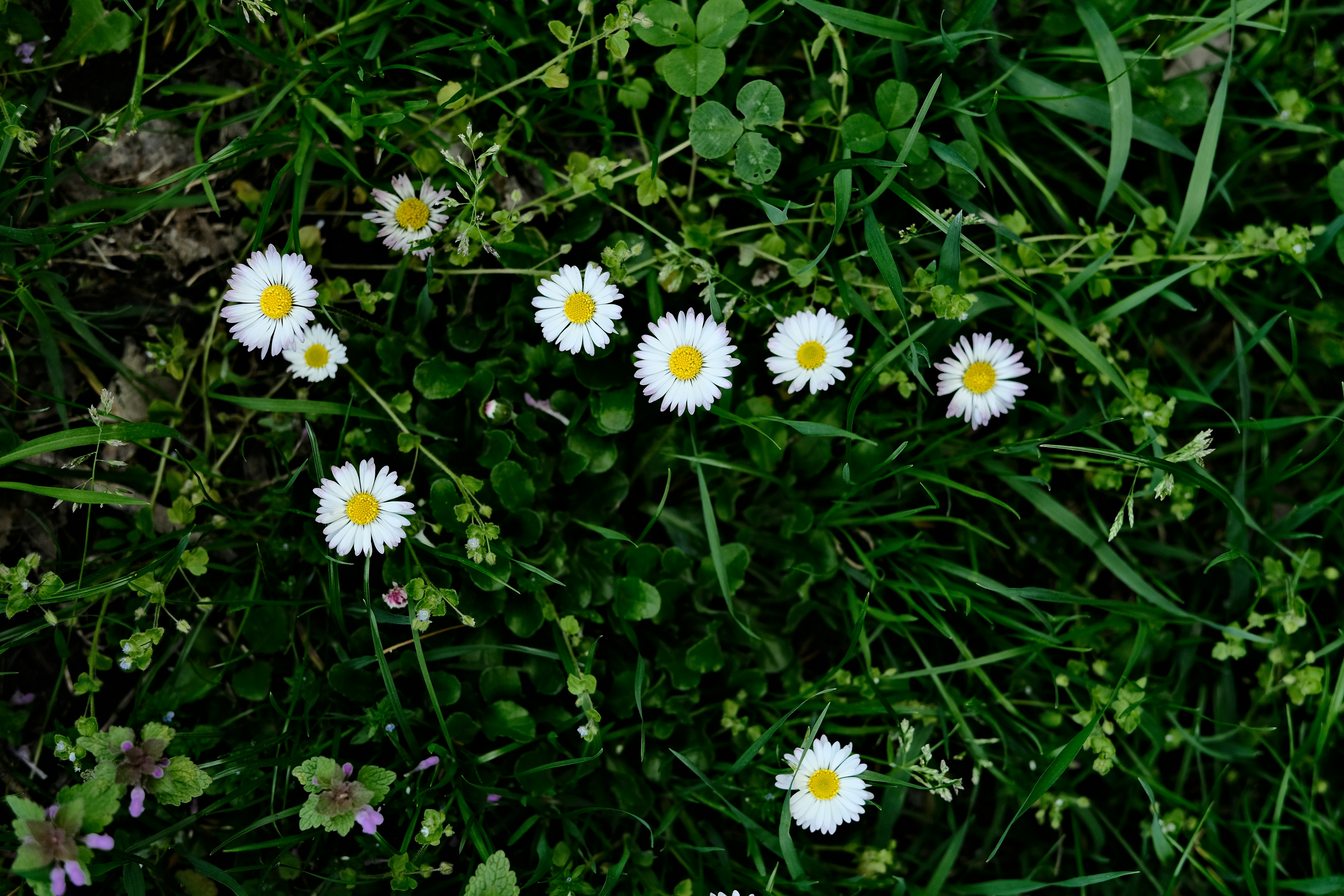 Photo by egorkomarov