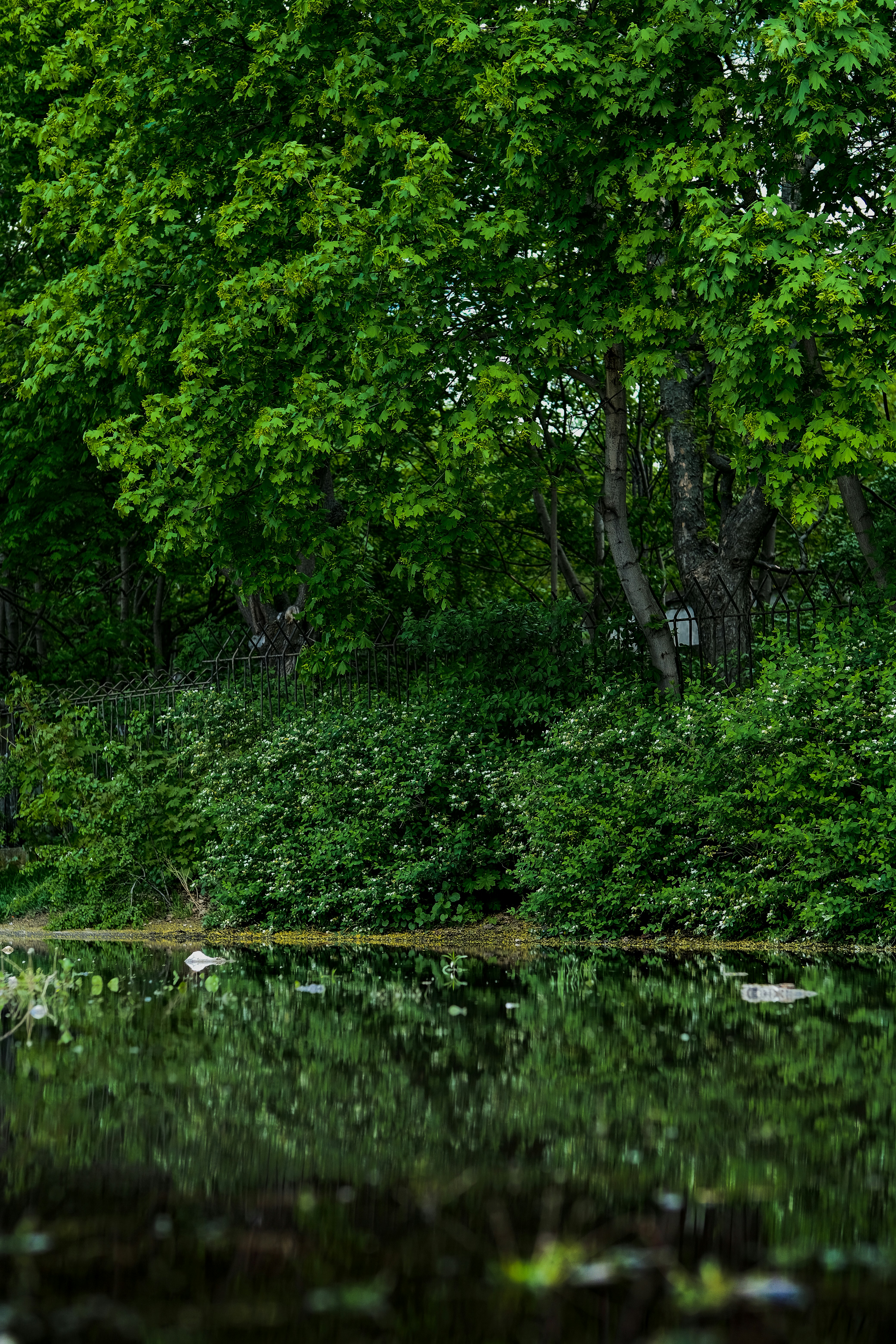 Photo by egorkomarov