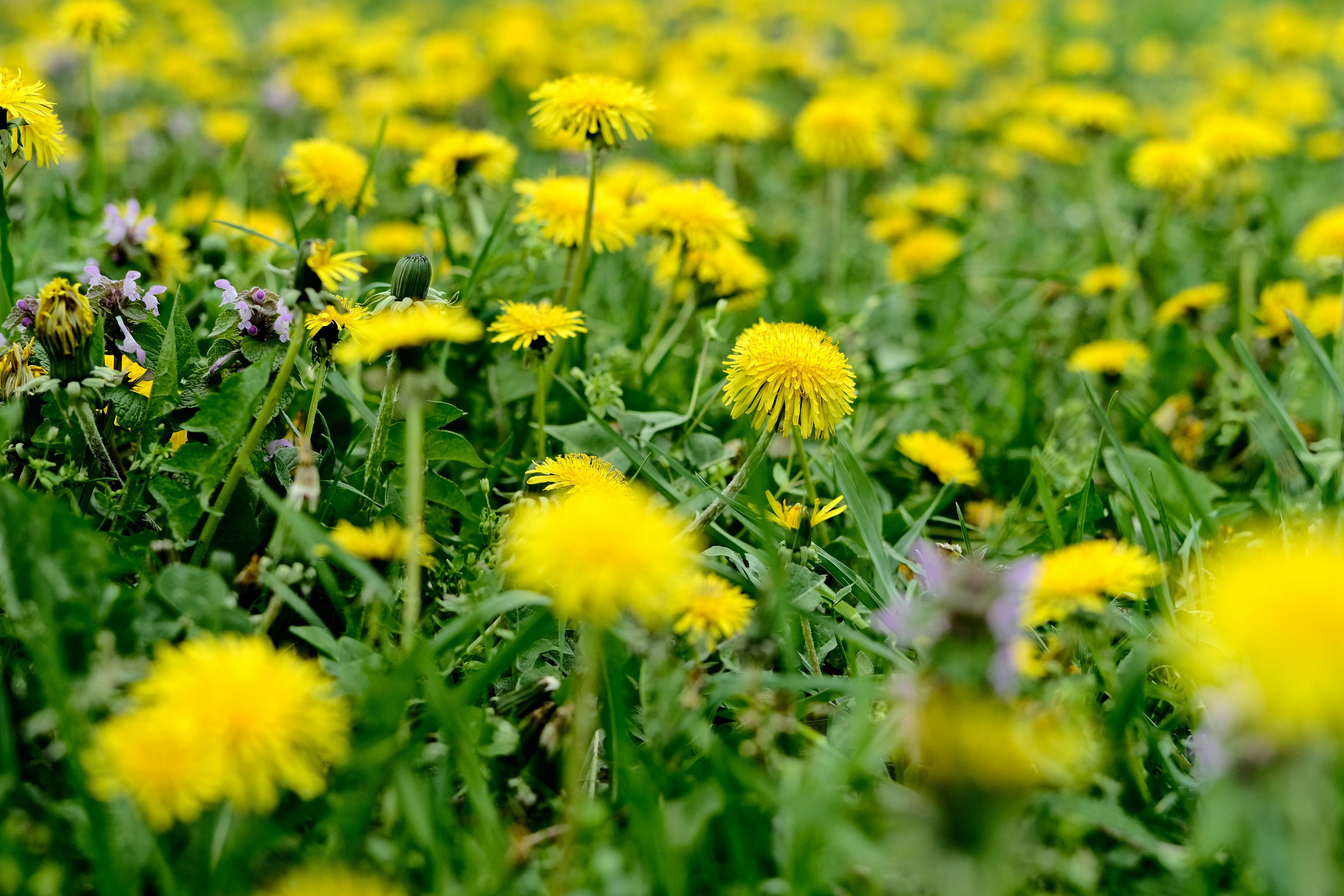 Photo by egorkomarov