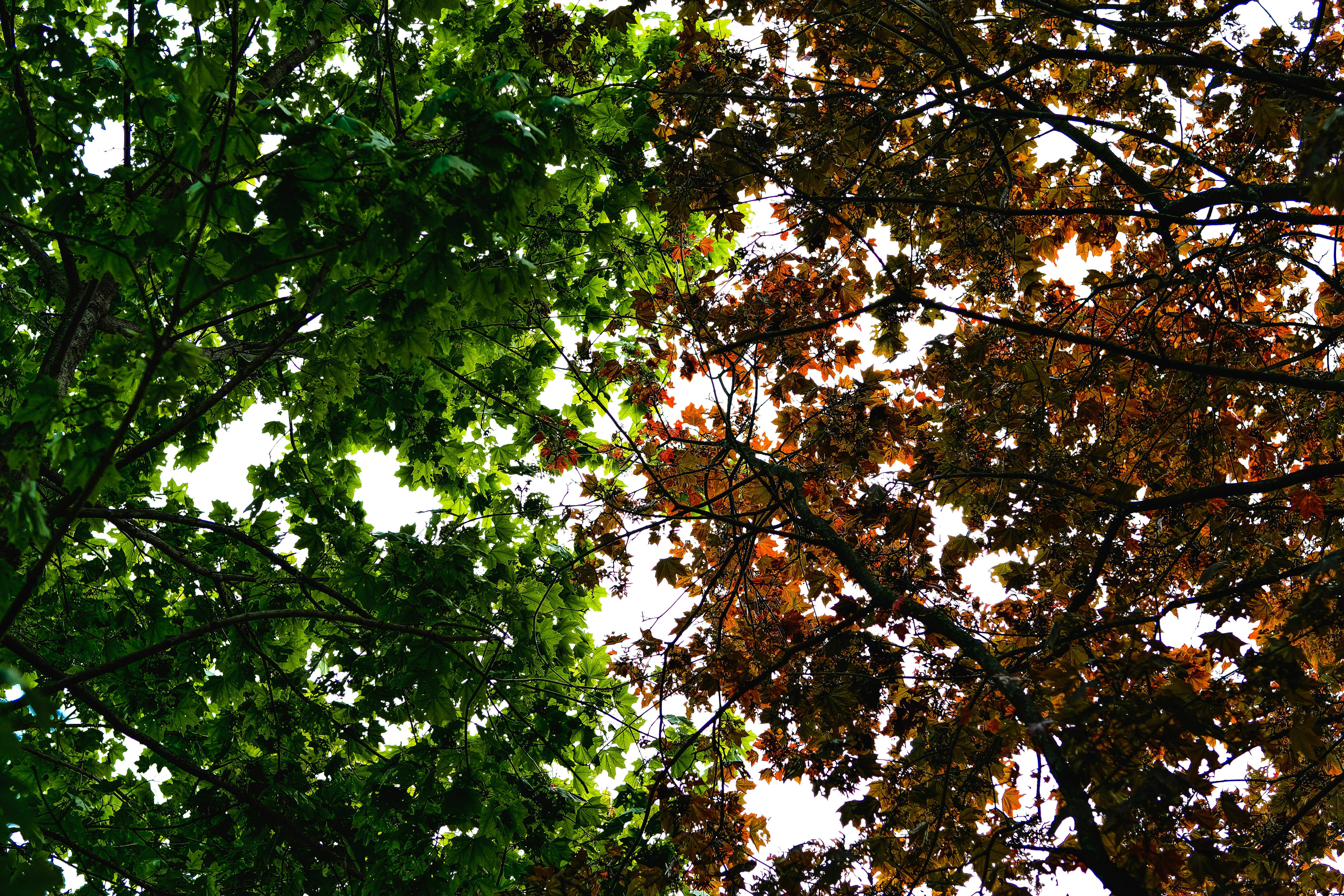 Photo by egorkomarov