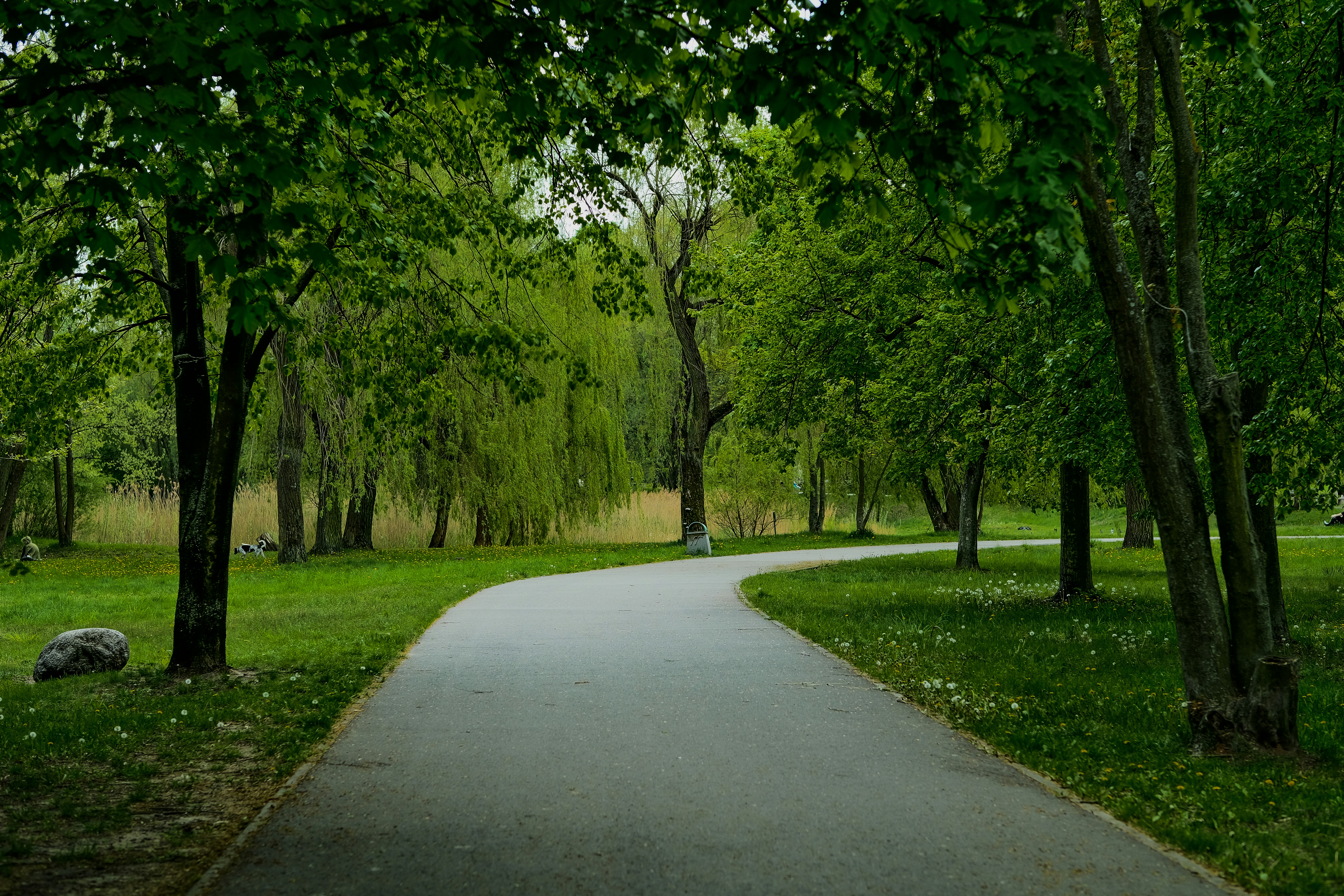 Photo by egorkomarov