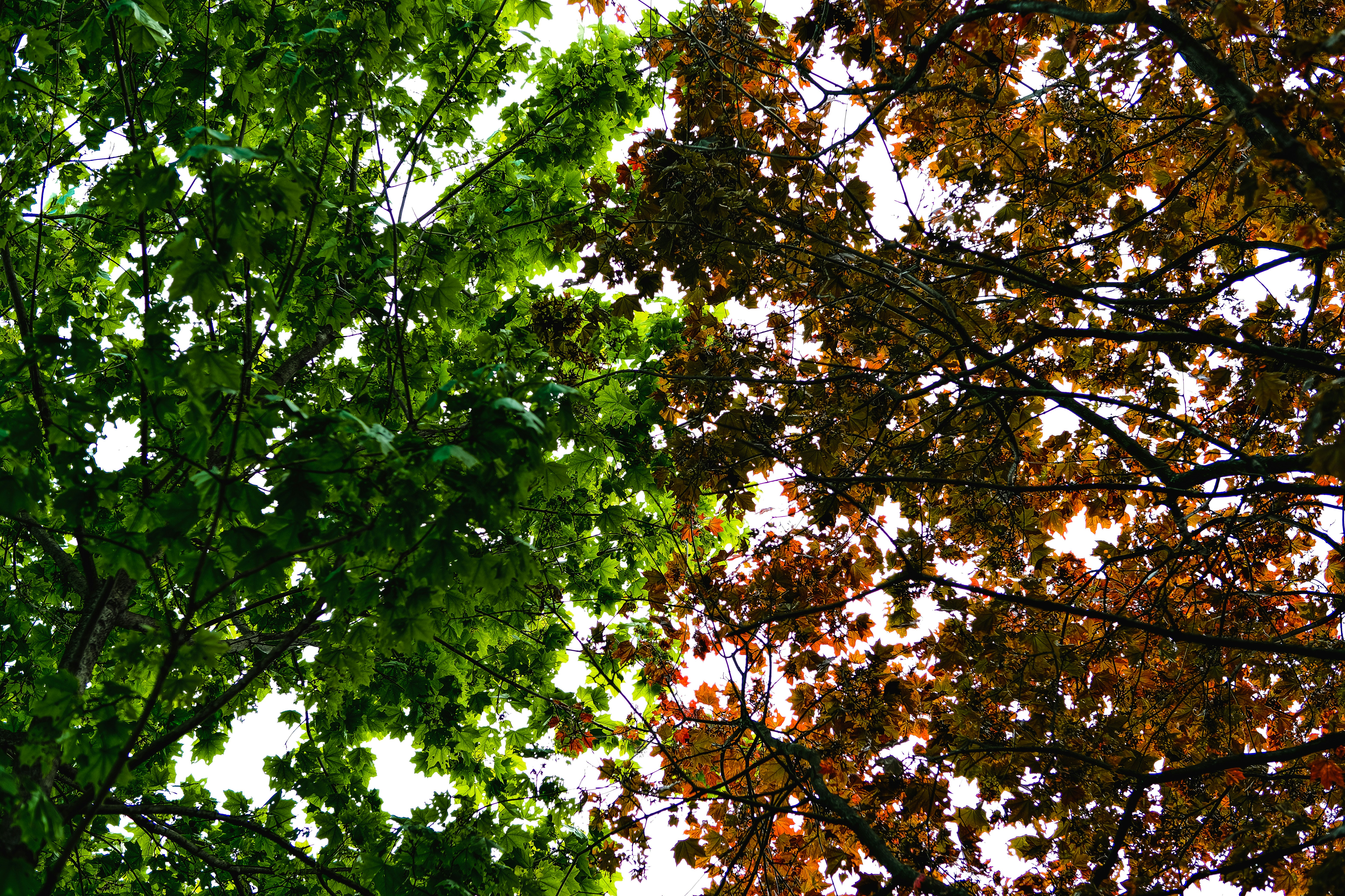 Photo by egorkomarov