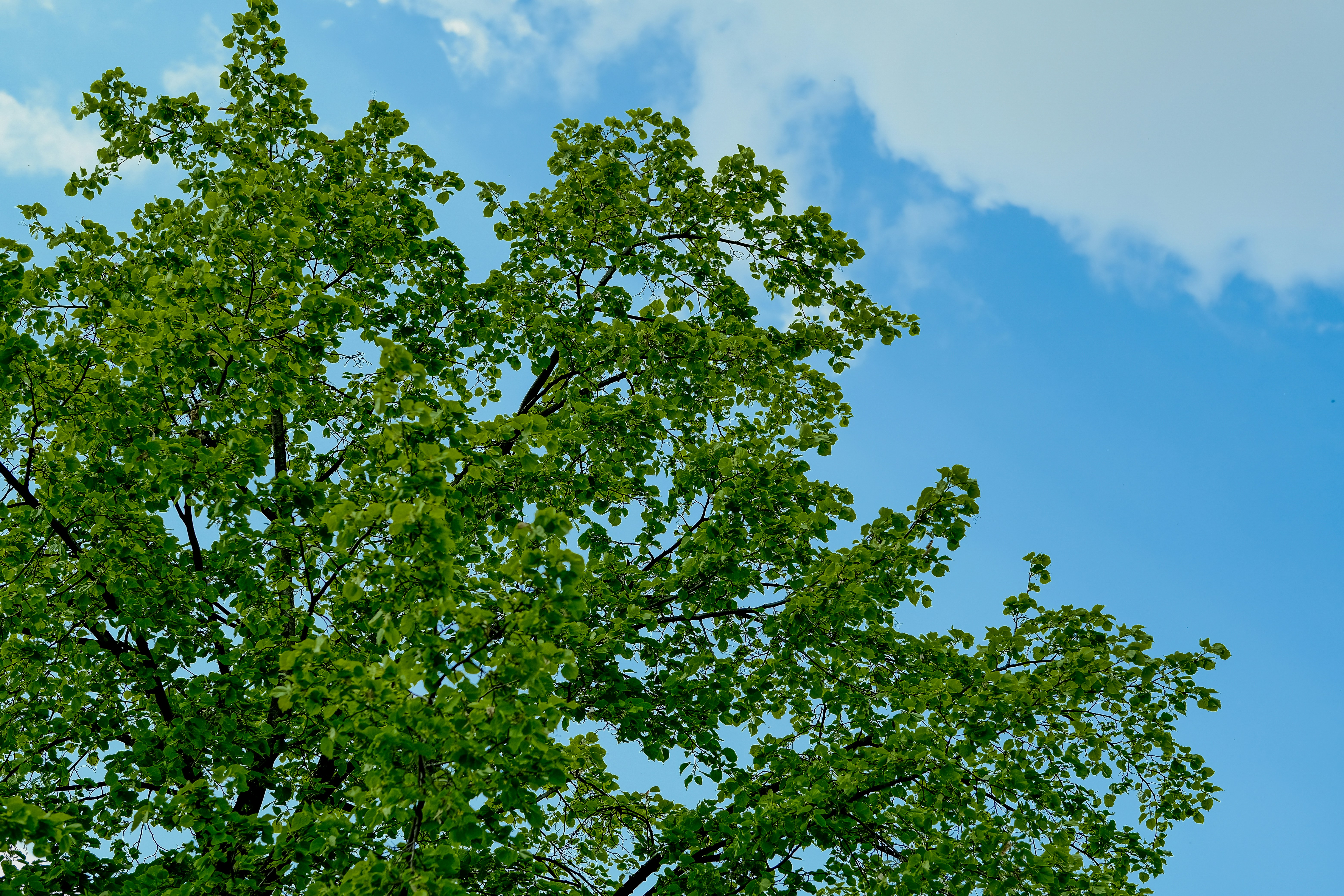 Photo by egorkomarov