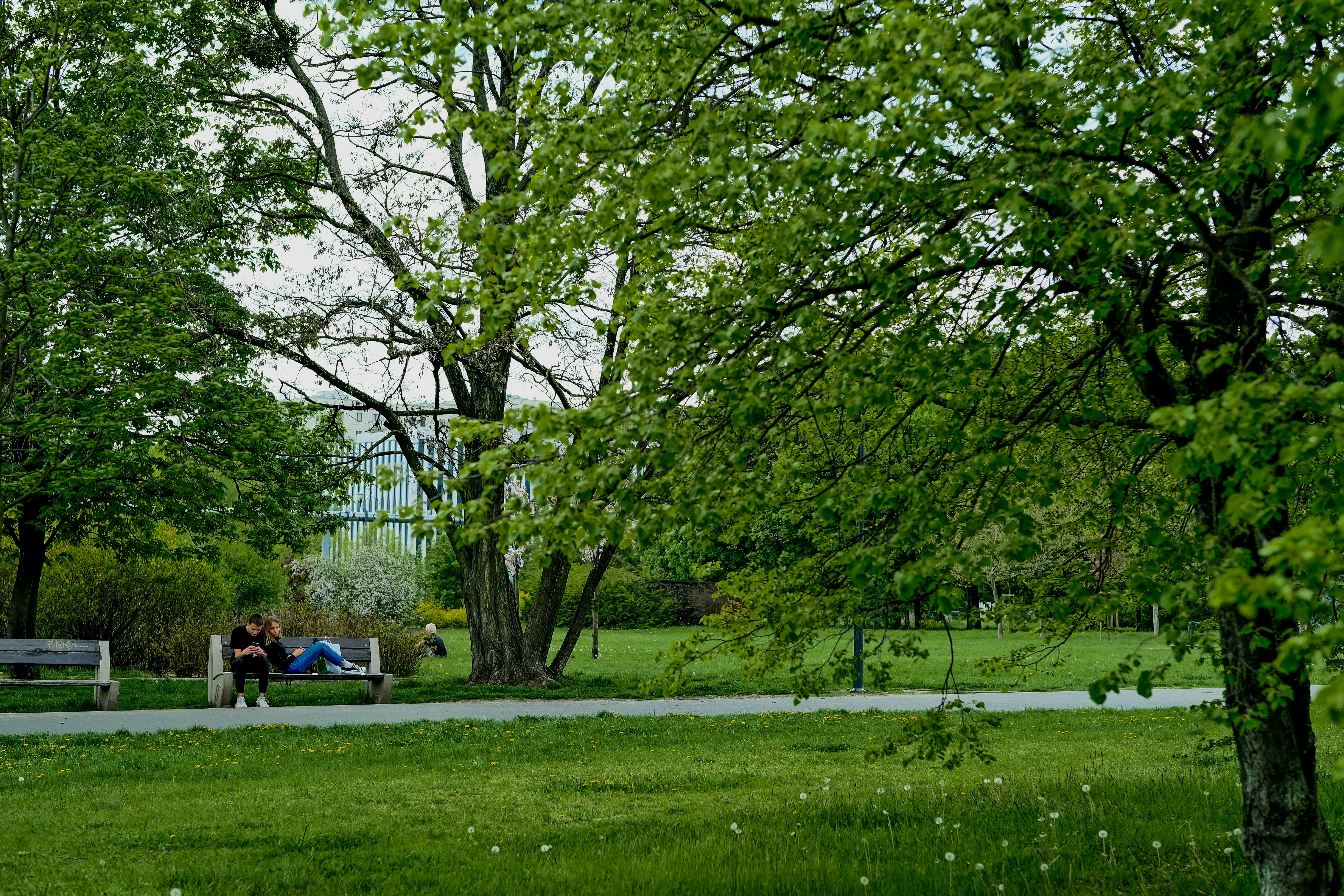 Photo by egorkomarov