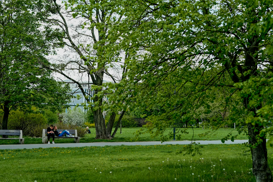 The image depicts a serene park scene with two individuals seated on a wooden bench, engaged in conversation and enjoying each other's company. The bench is positioned between two trees, providing shade for those who choose to sit there. The lush green grass surrounding the bench adds to the tranquil atmosphere of the park. In the background, a building can be seen, suggesting that this peaceful setting may be located within or near an urban area.