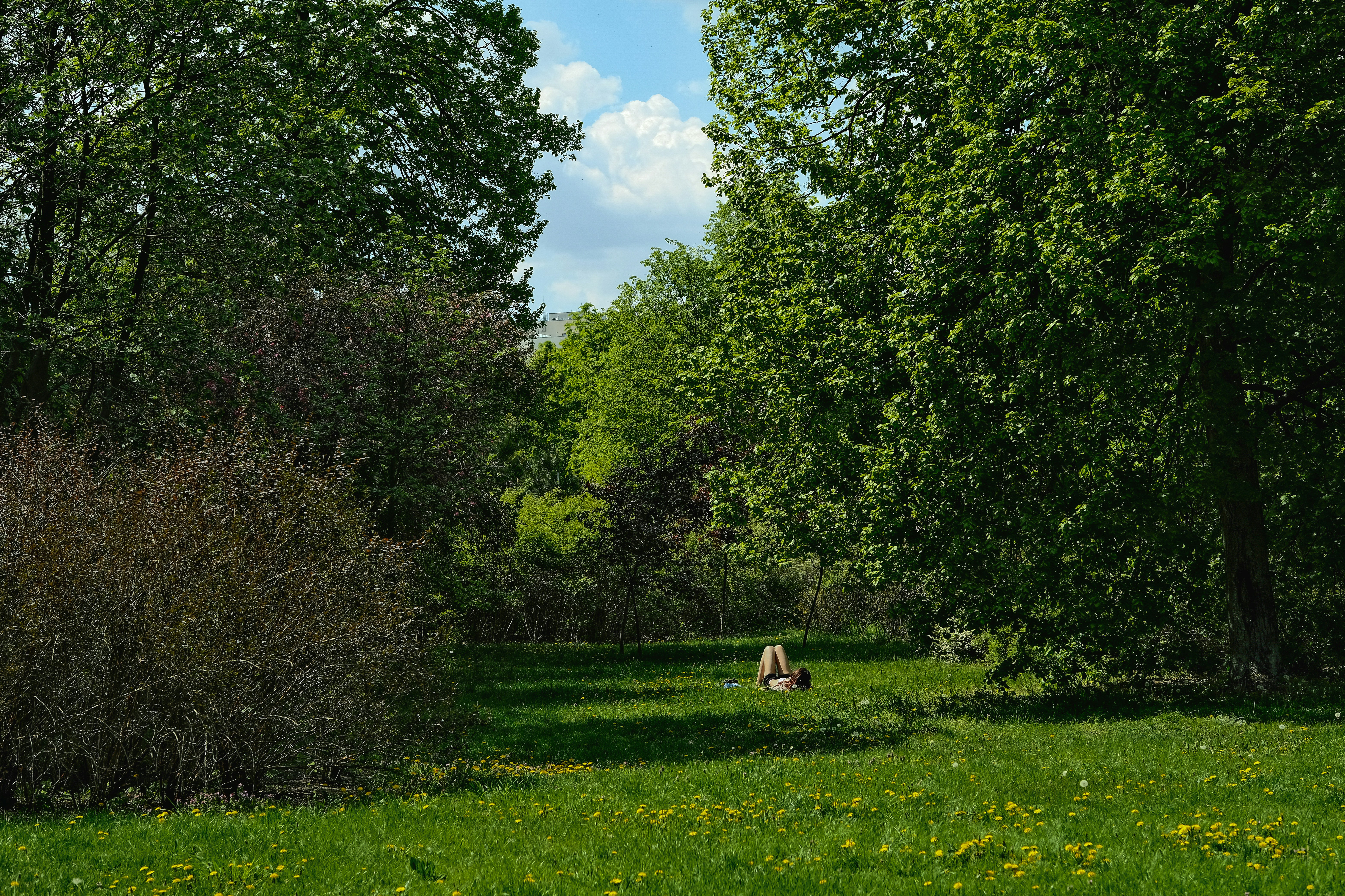 Photo by egorkomarov