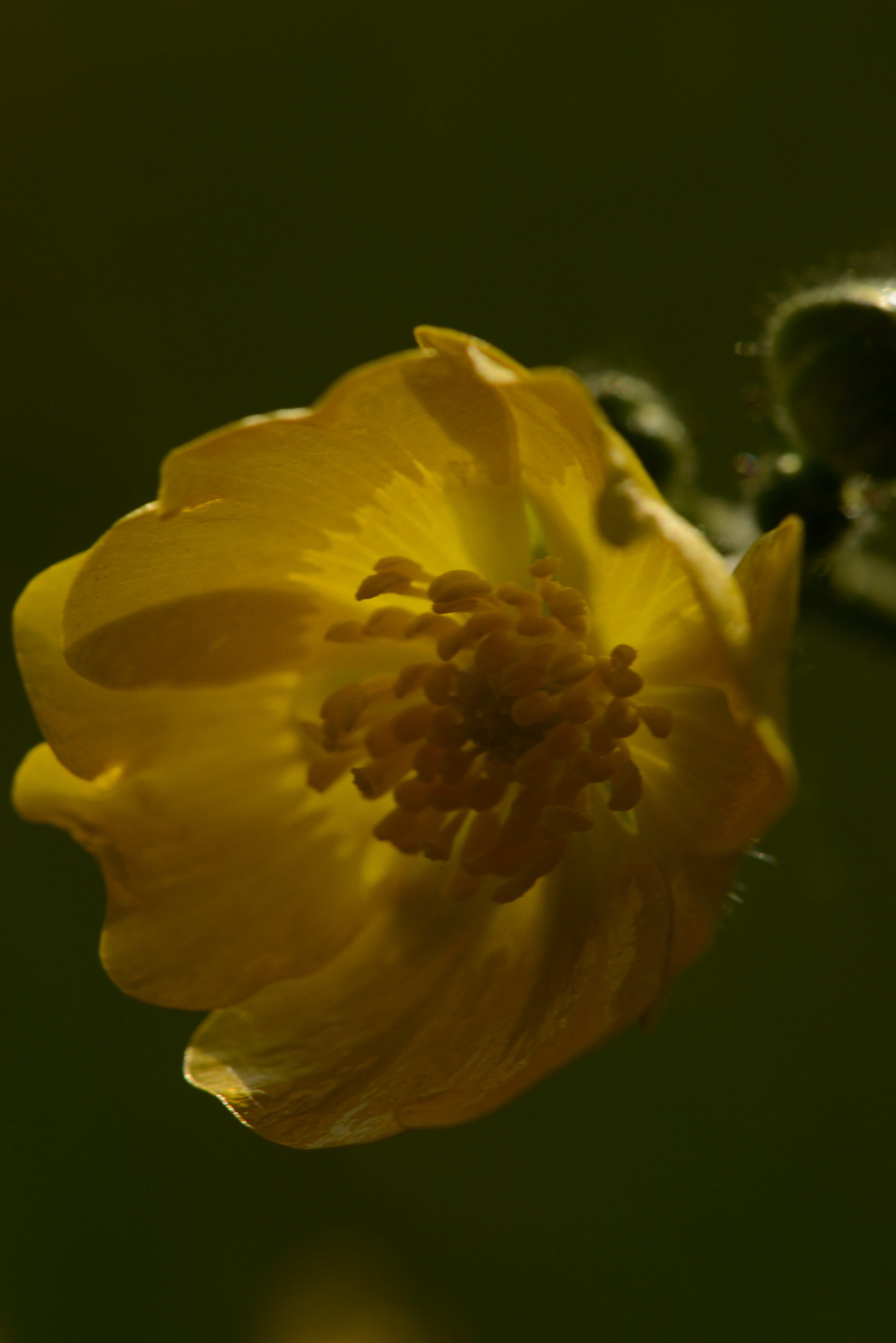 Photo by colfra