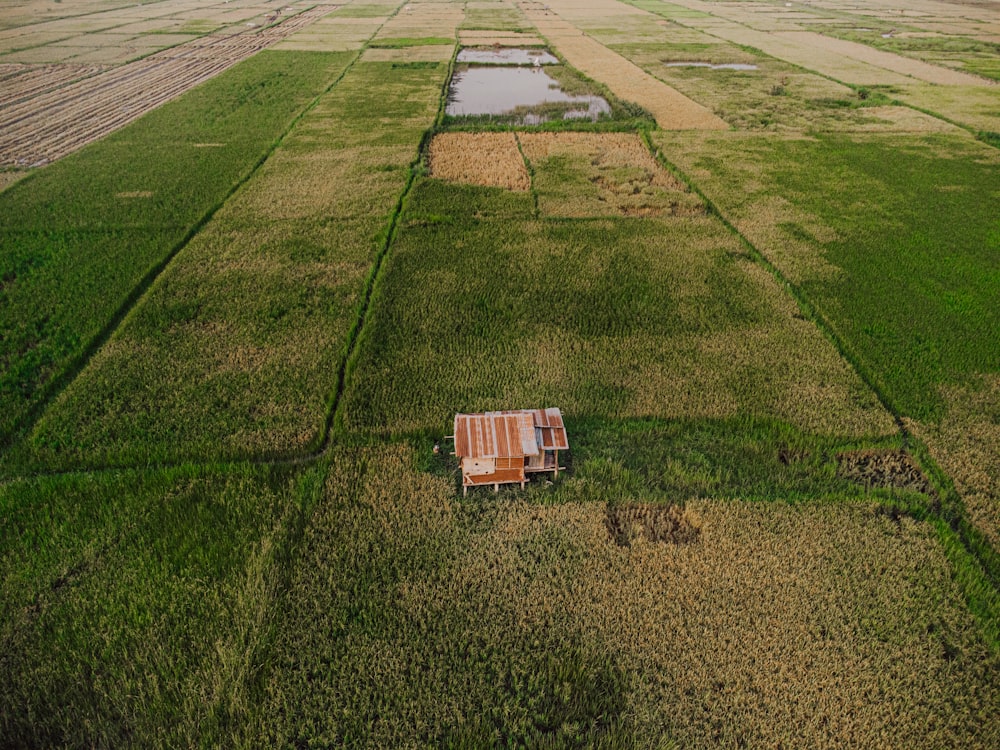 a bench in a field