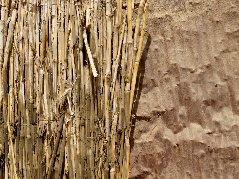 a close-up of some wood