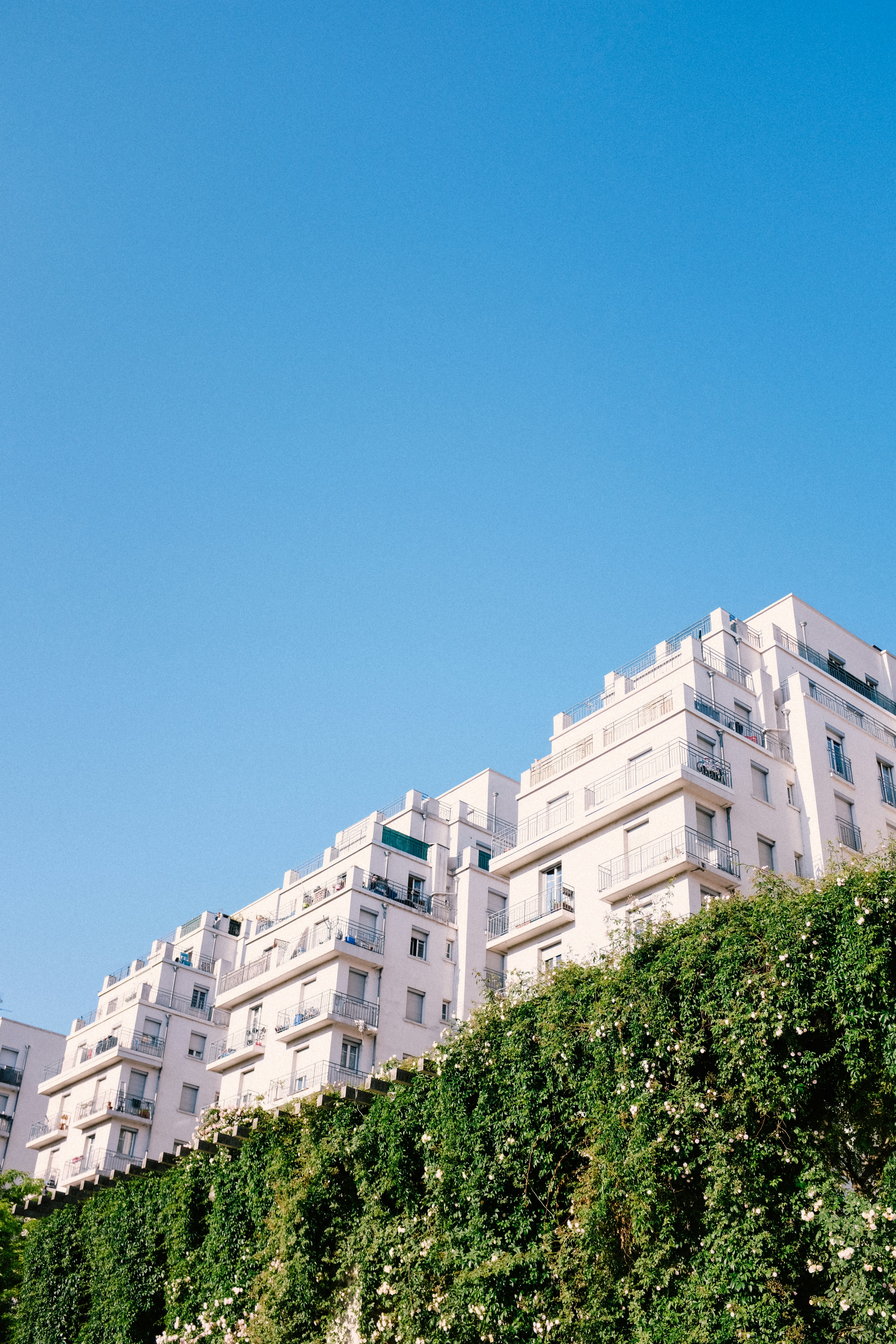 Photo by adrienolichon