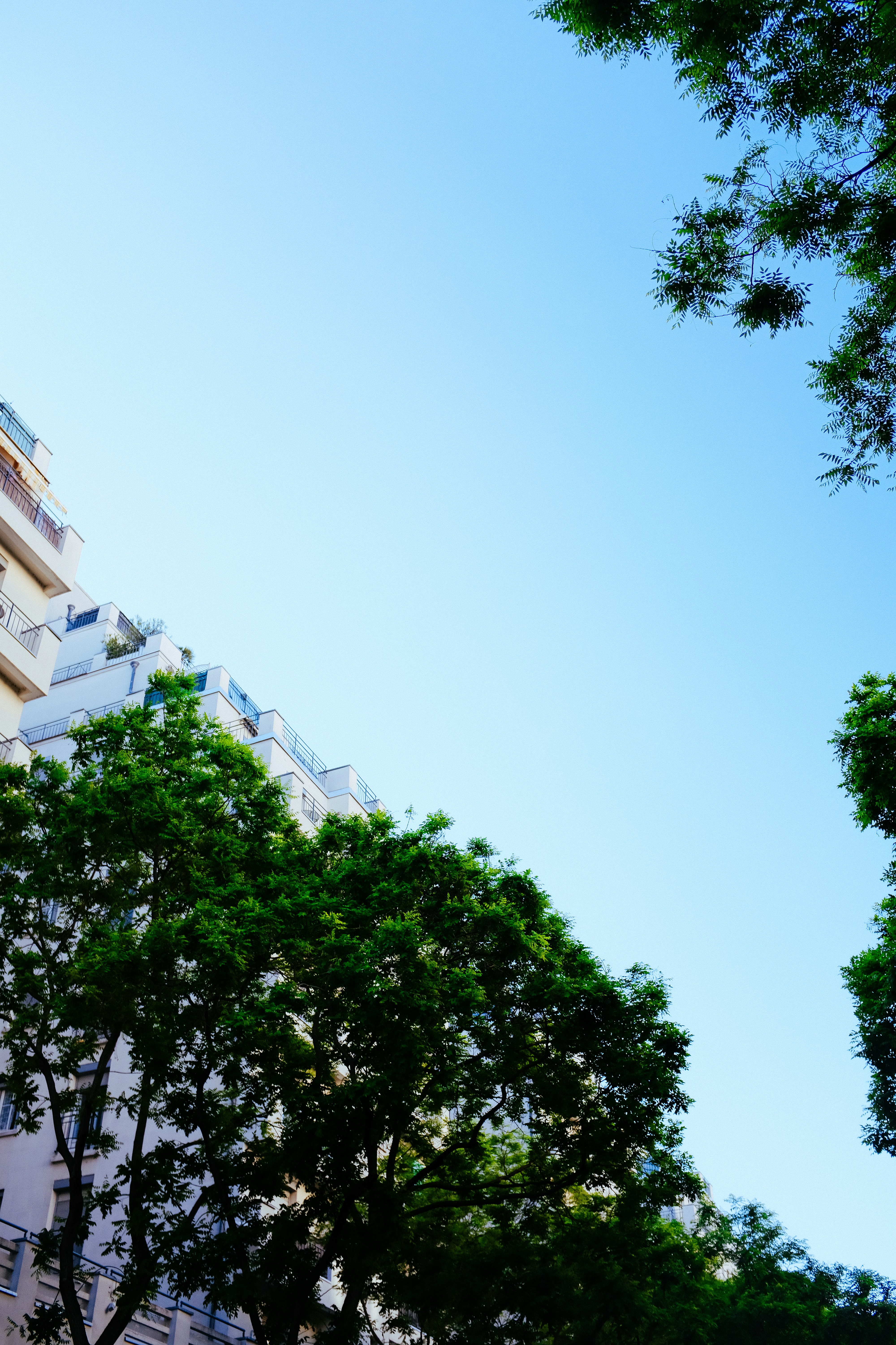 Photo by adrienolichon