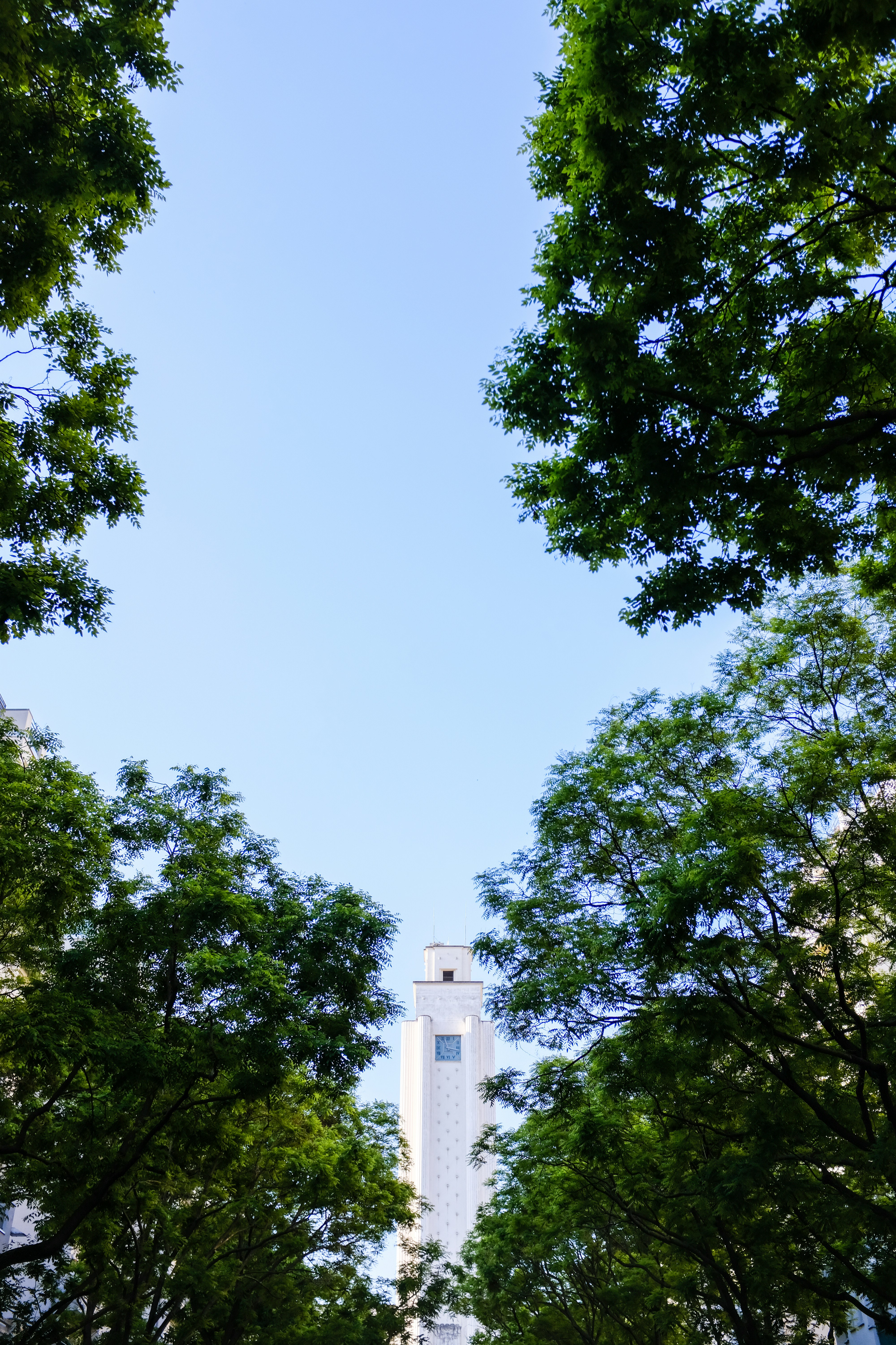 Photo by adrienolichon