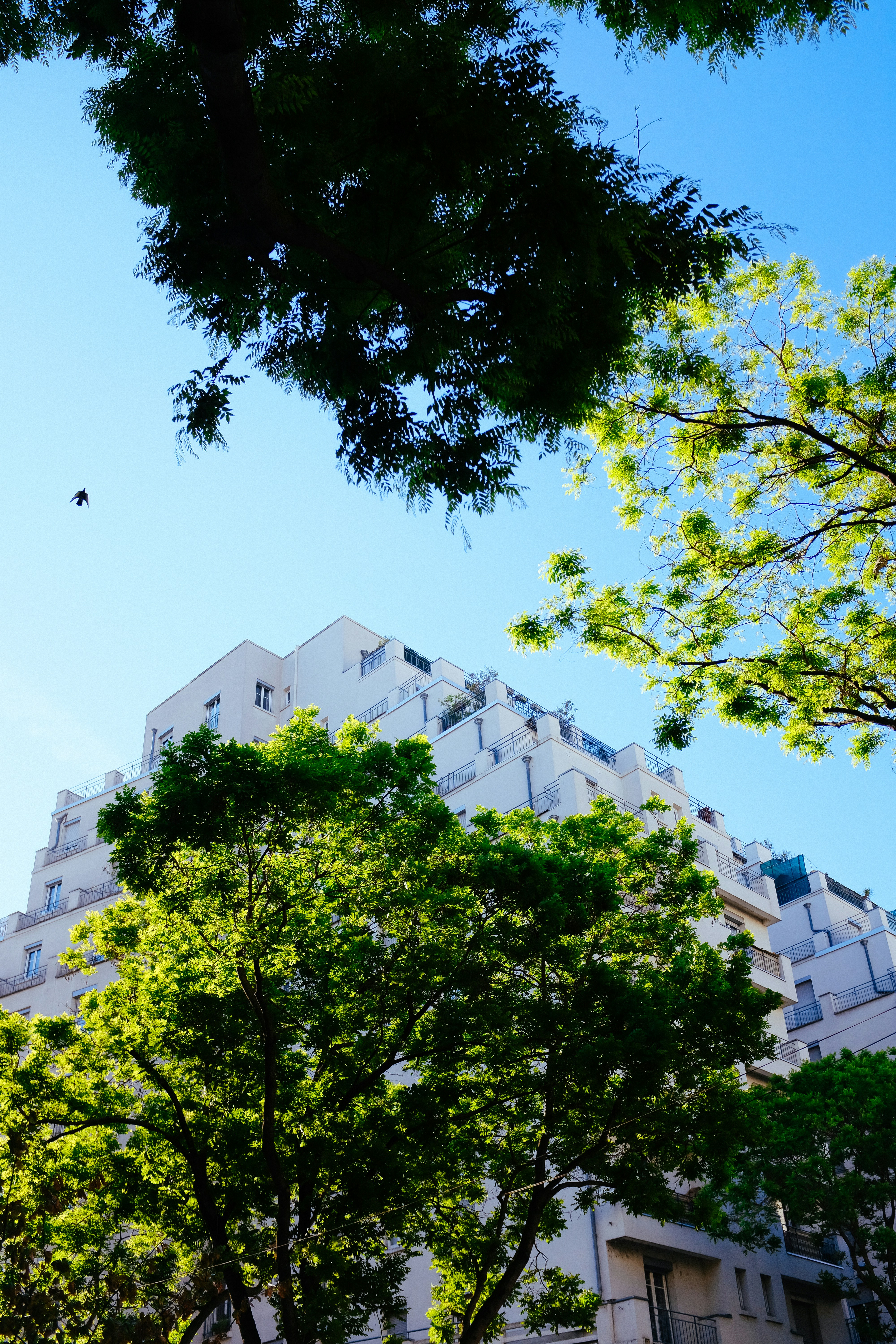 Photo by adrienolichon