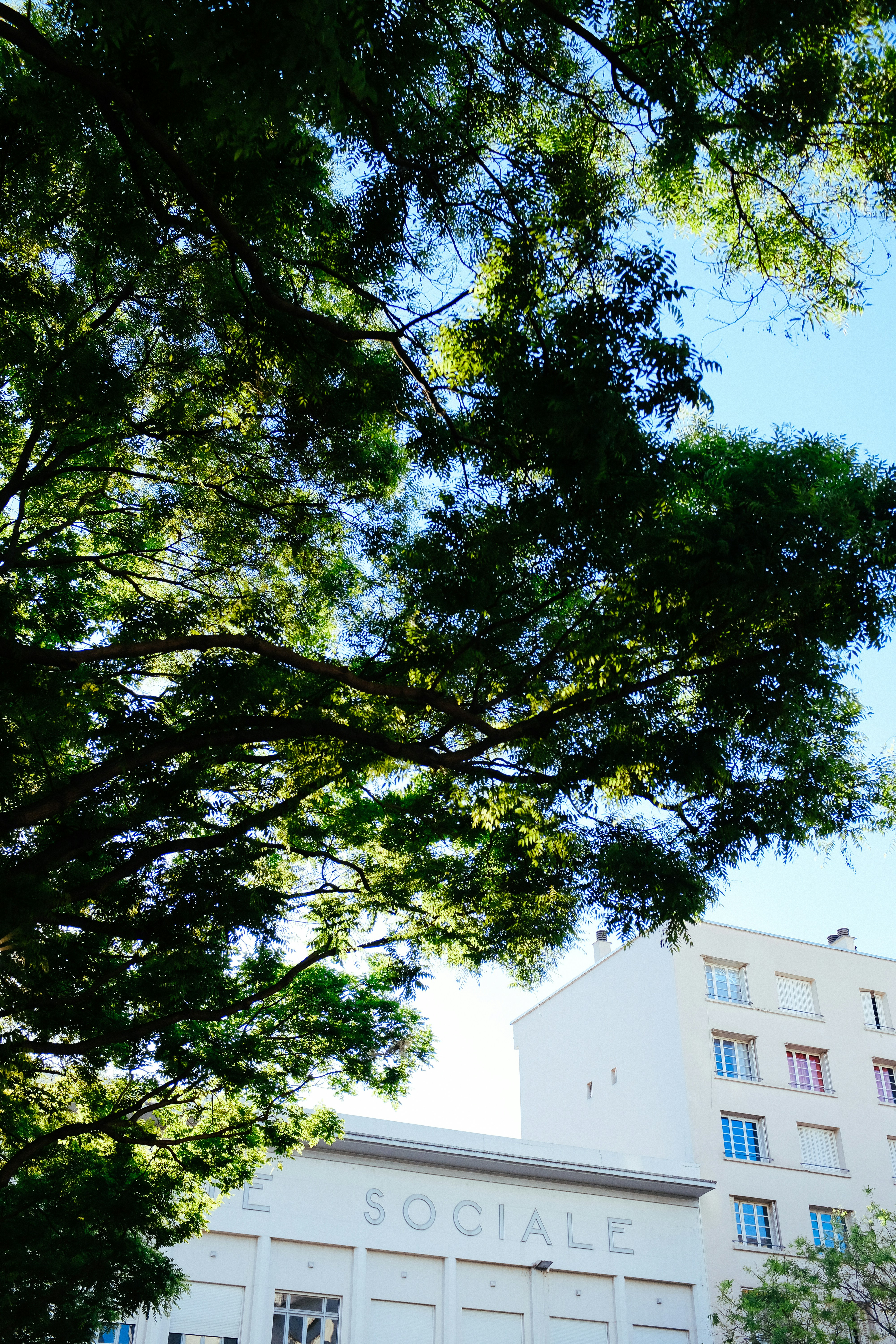 Photo by adrienolichon