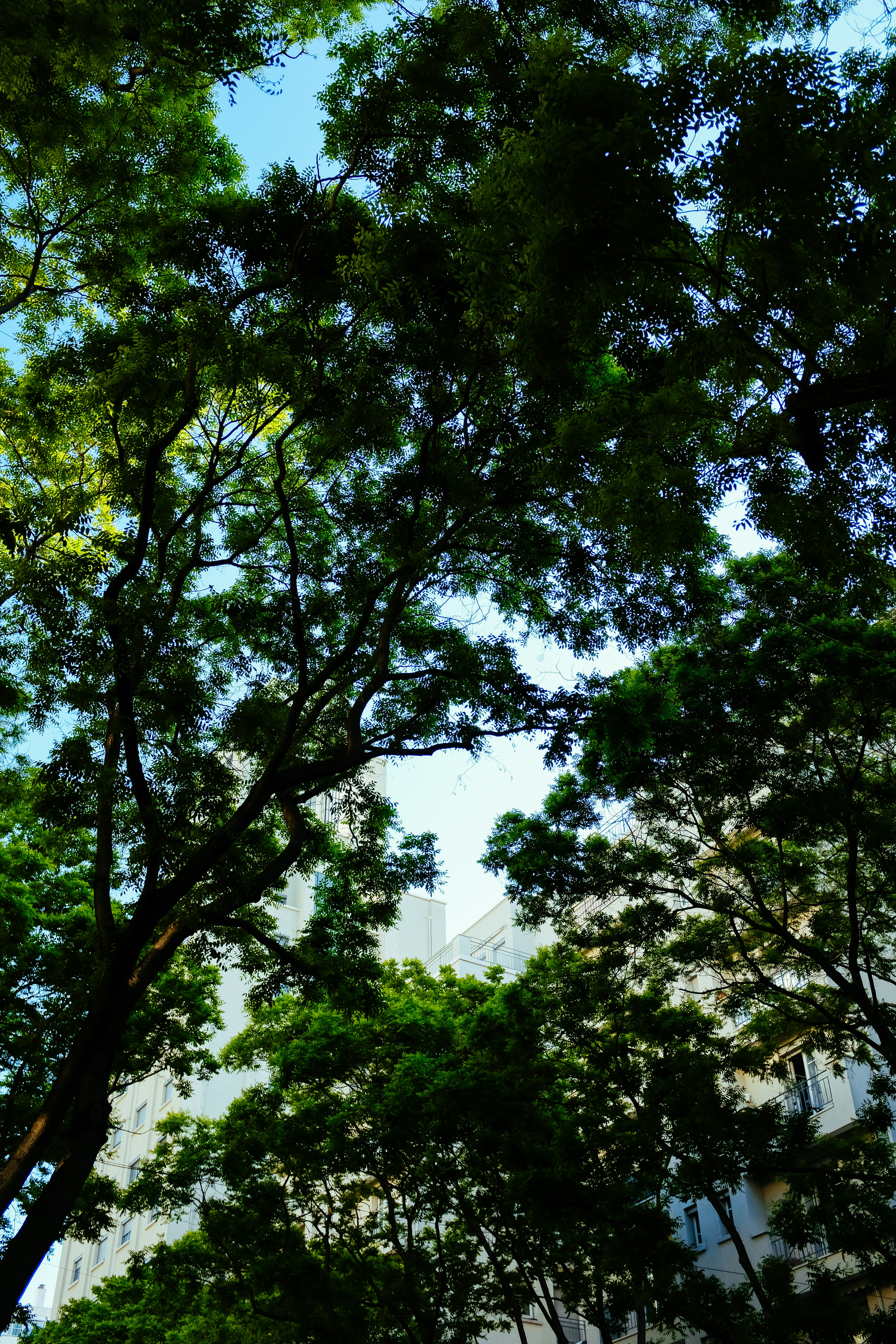 Photo by adrienolichon