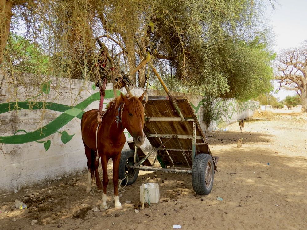 a horse pulling a cart