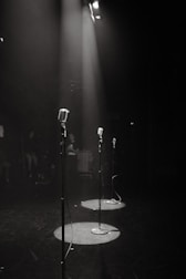 a couple of microphones on a stand