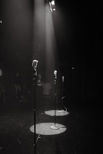 a couple of microphones on a stand
