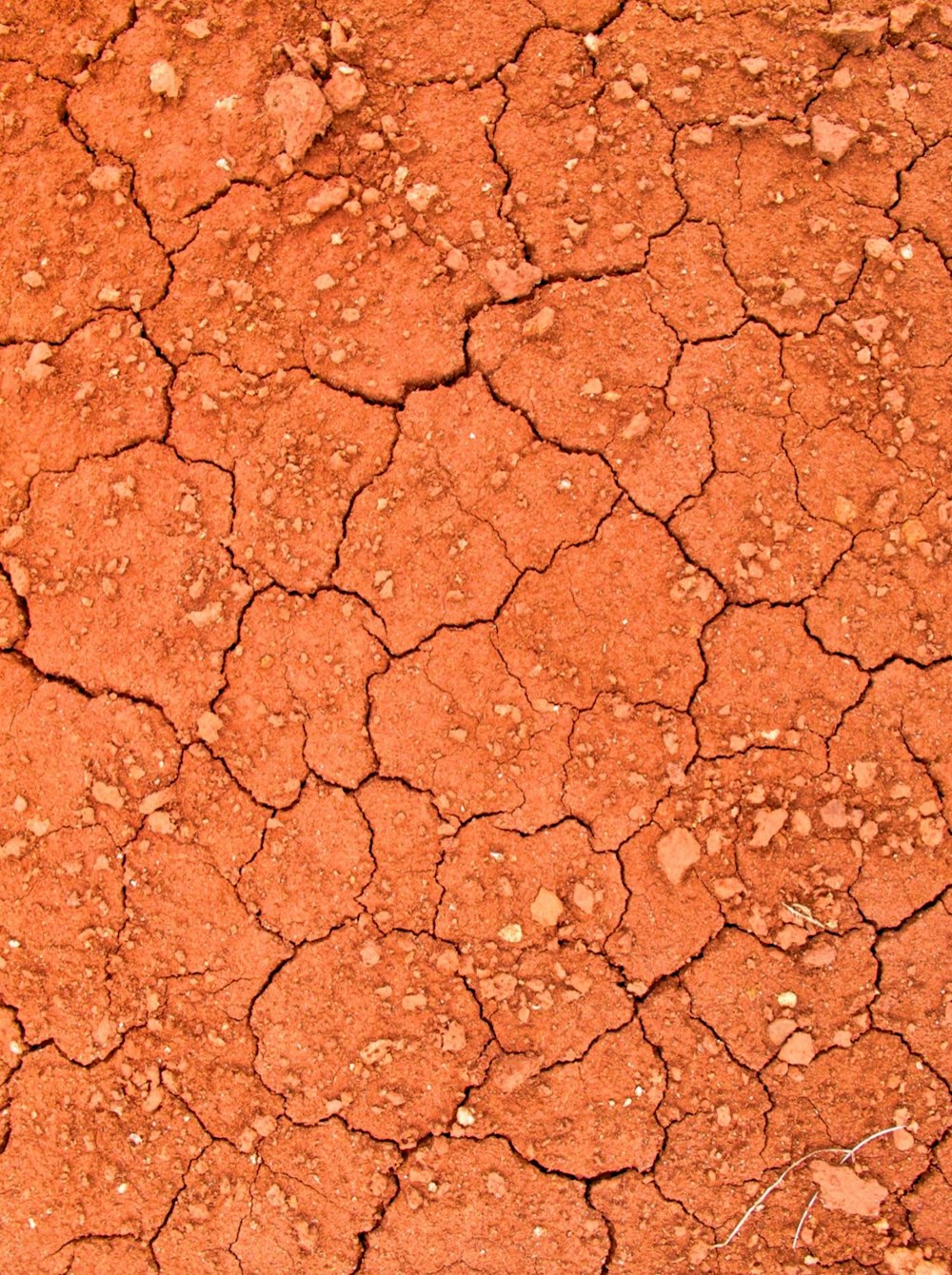 a close up of a brick wall