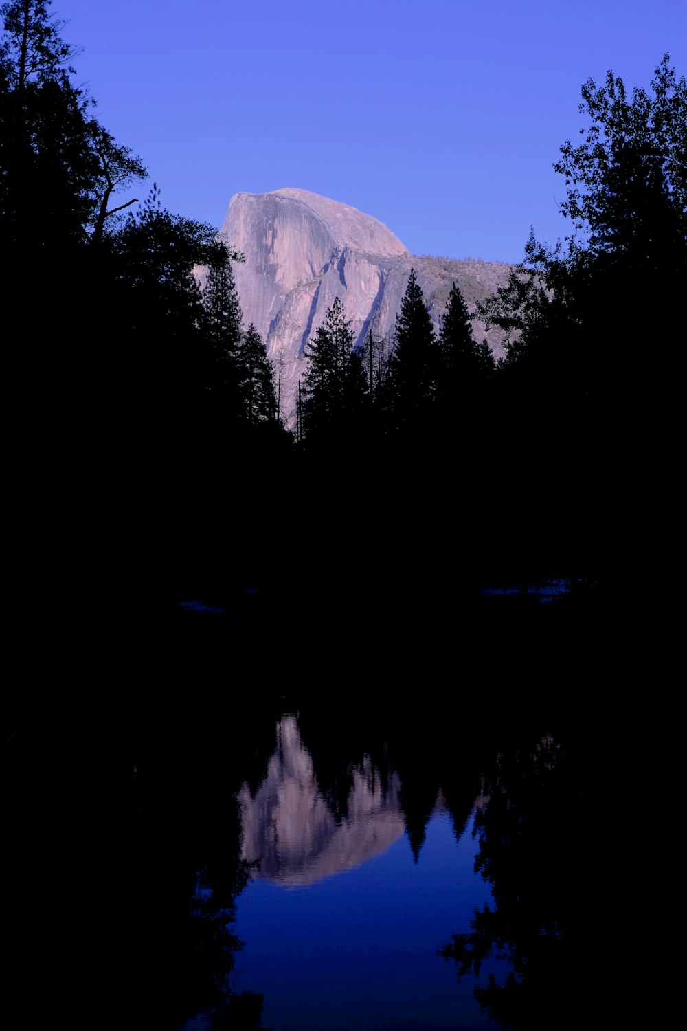 a mountain with trees and water below