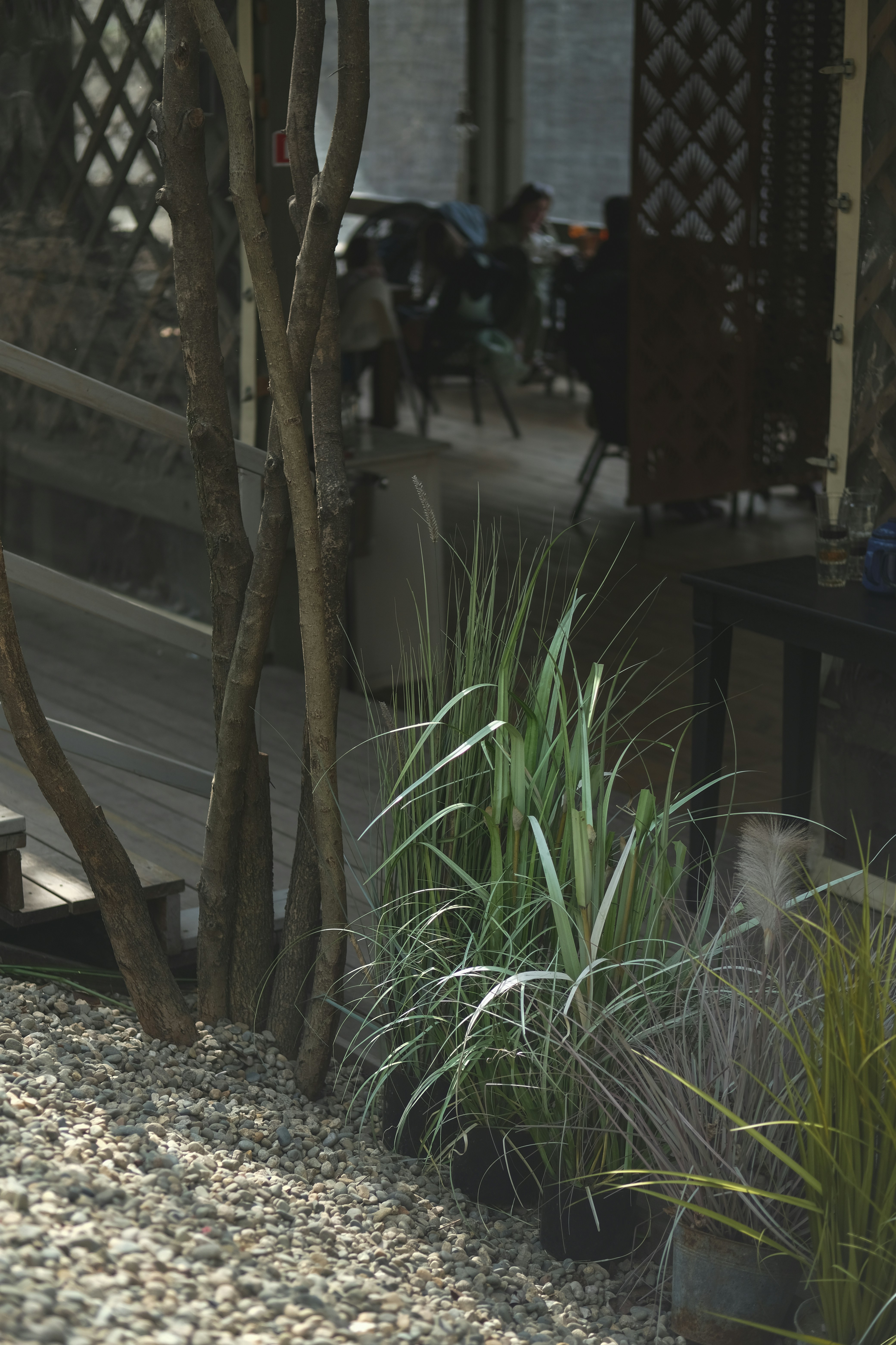 Photo by rolig_basseng