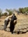 Two individuals are engaged in building or repairing a thatched roof structure in a rural setting. The structure is made of dried grasses or straw, and the surrounding environment includes sparse vegetation and trees under a clear blue sky.