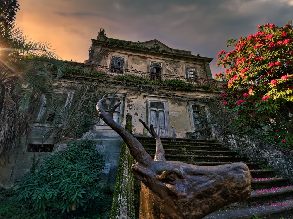 a house with a garden