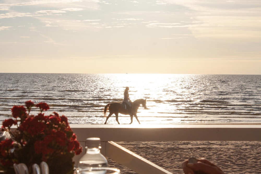 una persona montando a caballo en una playa