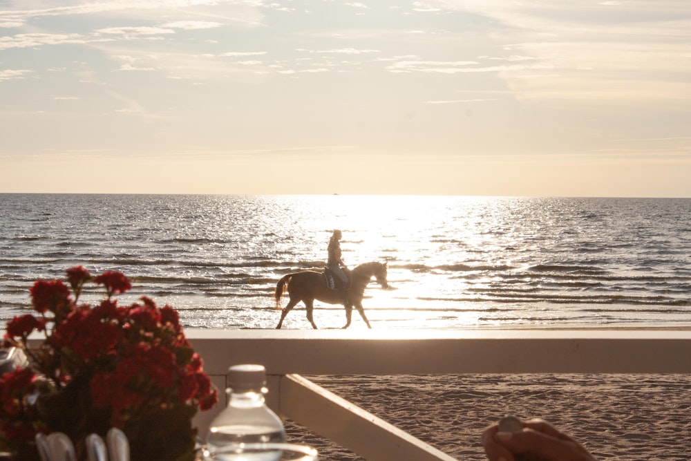 a person riding a horse on a beach