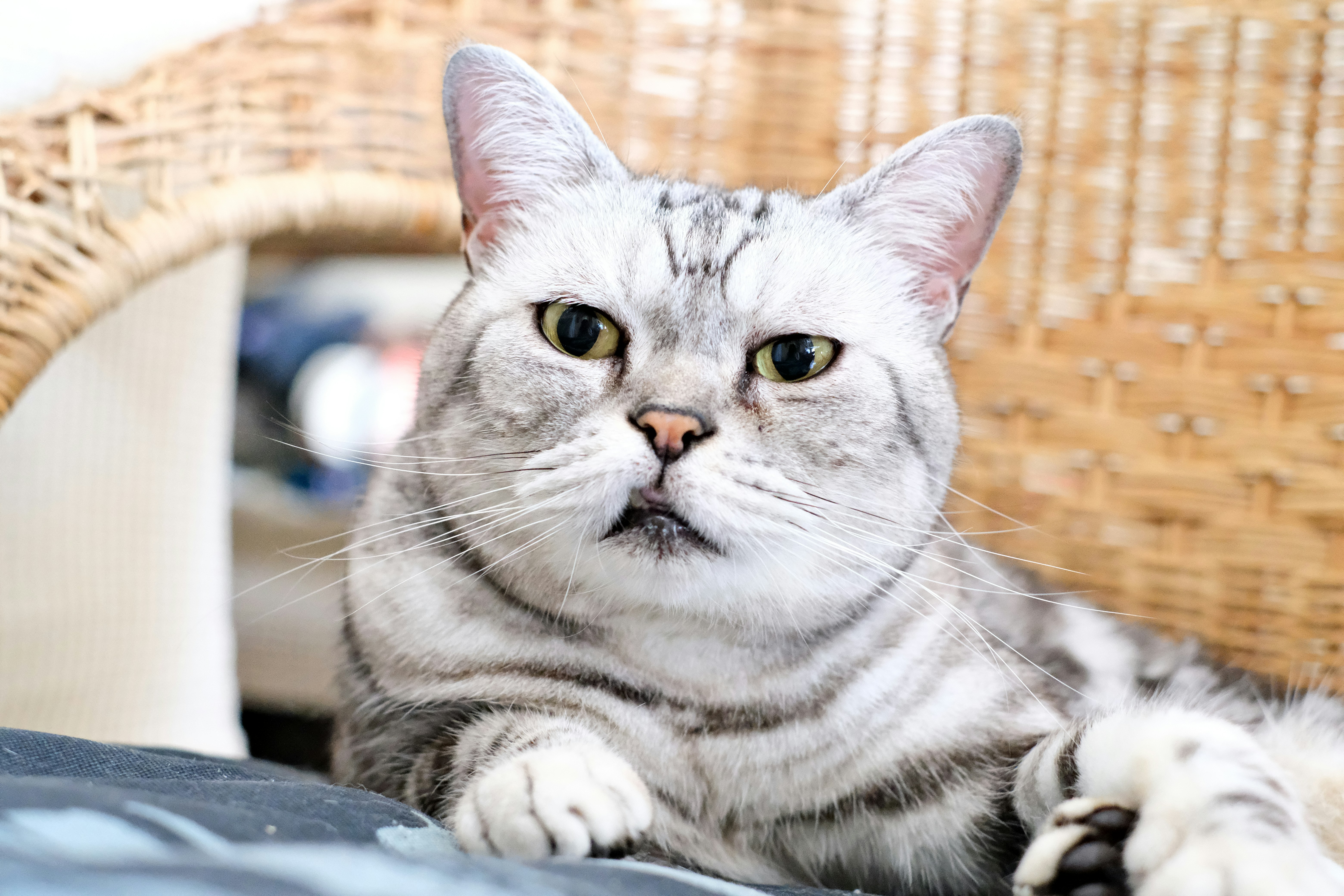 Photo by warmwater215