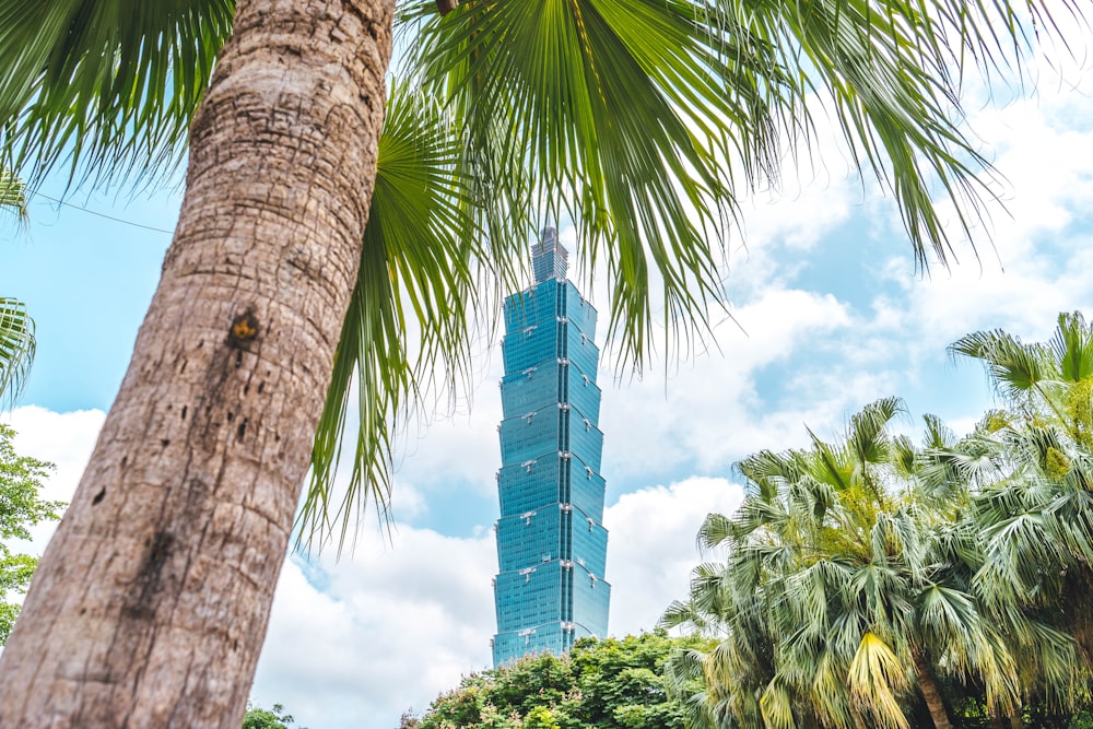 a tall building behind palm trees