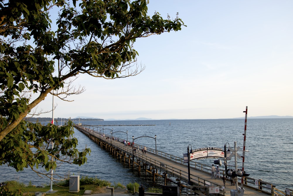 a road with cars on it next to a body of water