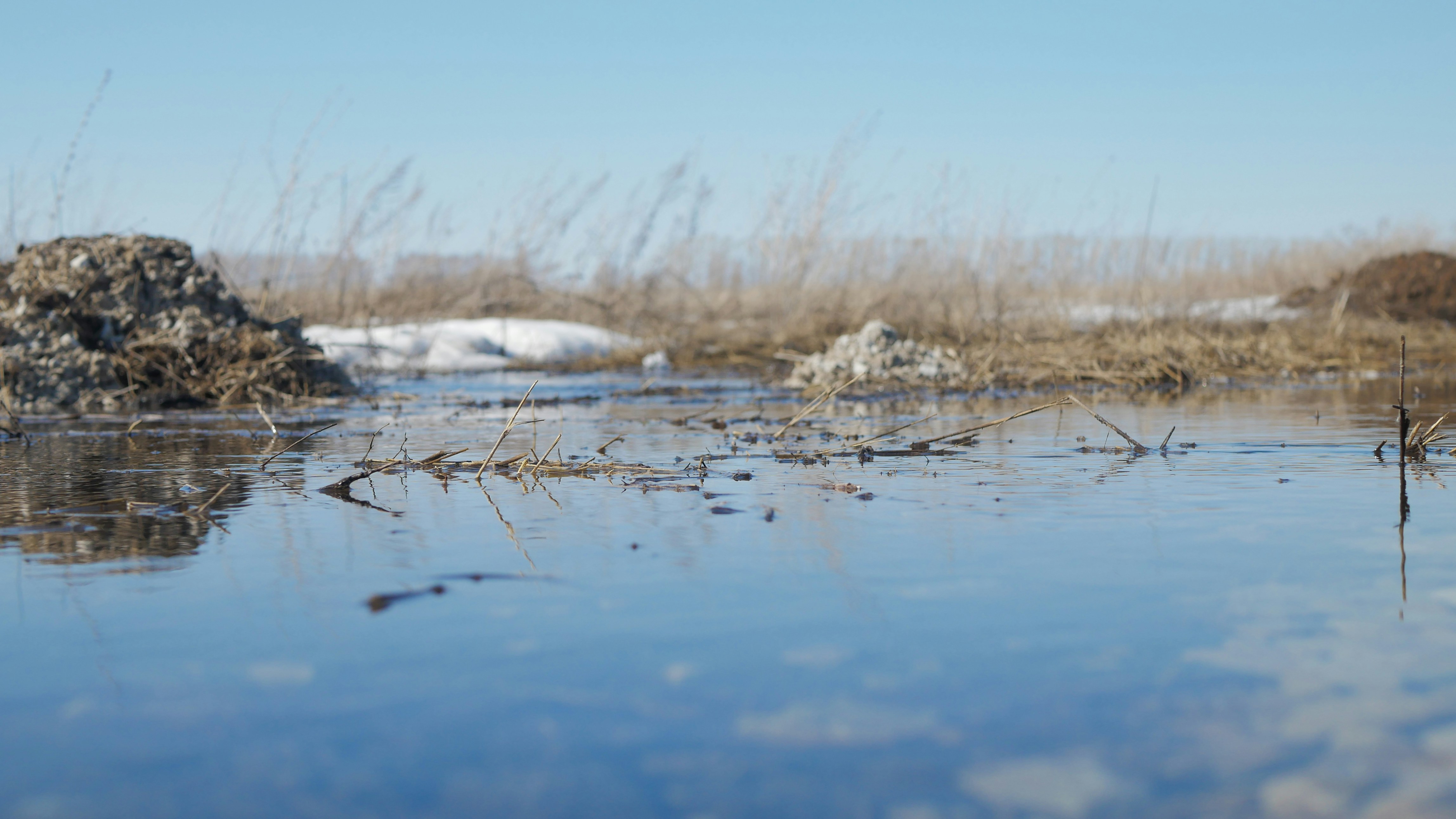 Photo by denisgibbon