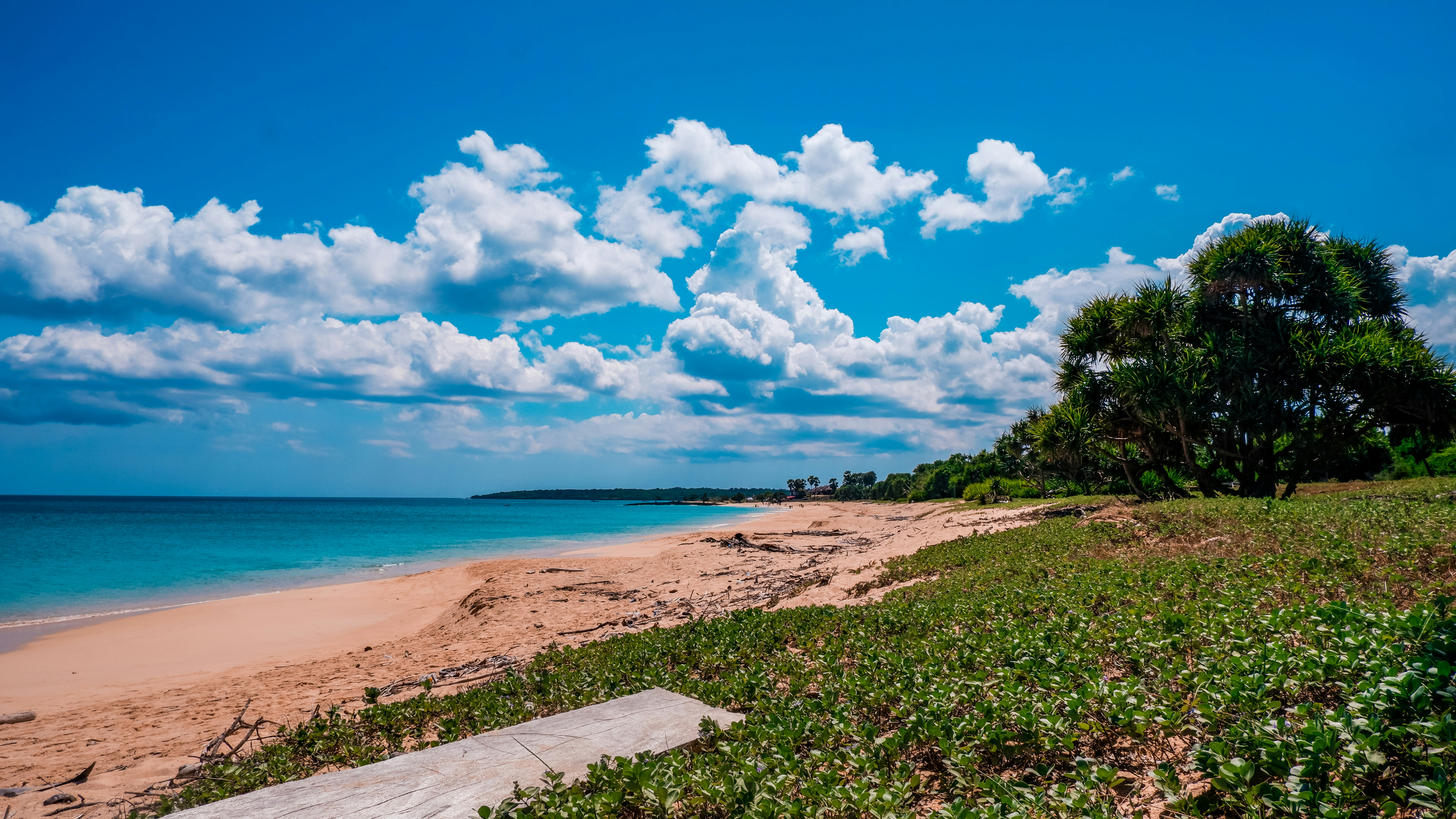 Photo by darkroomspace