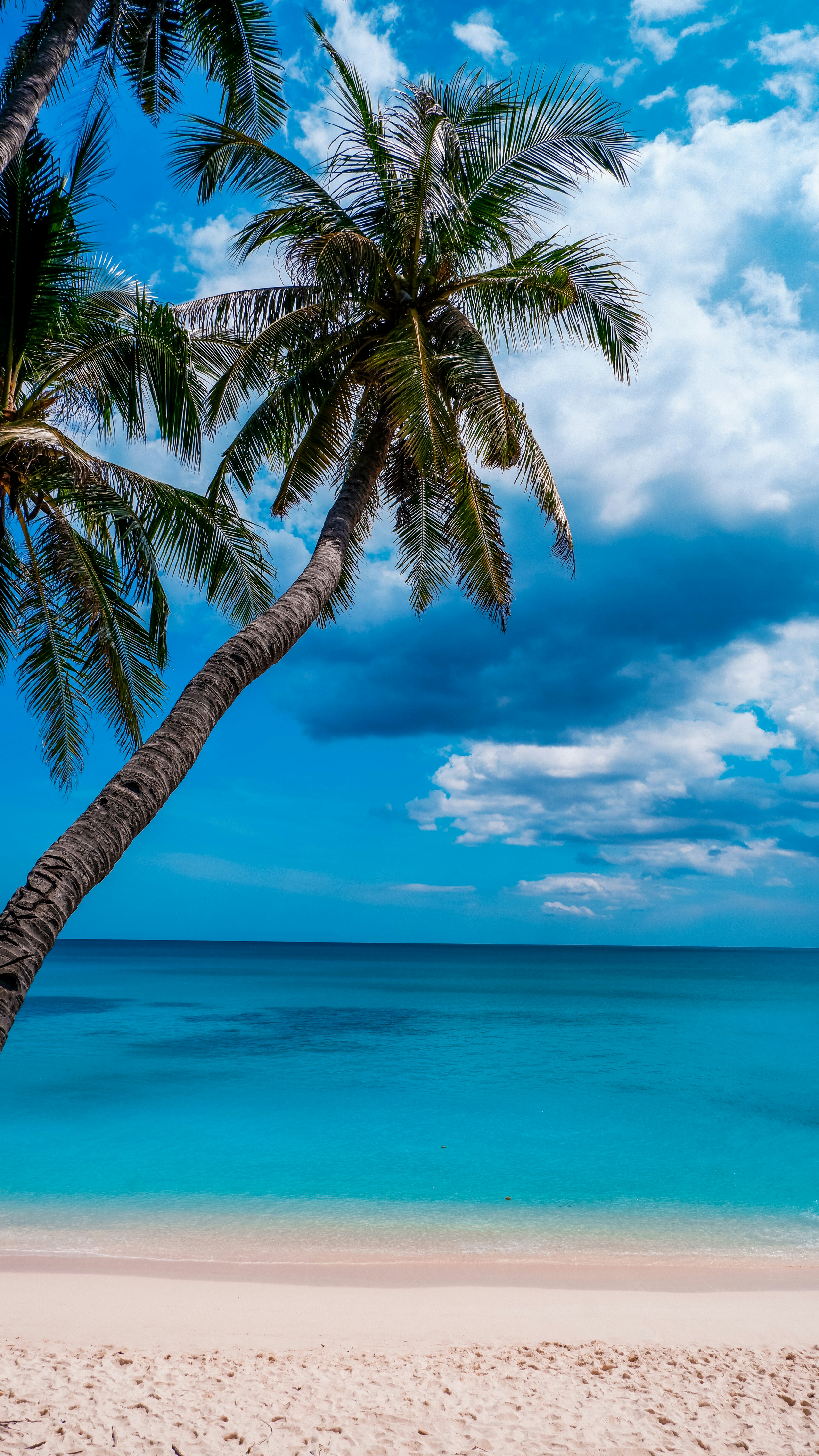 Photo by darkroomspace