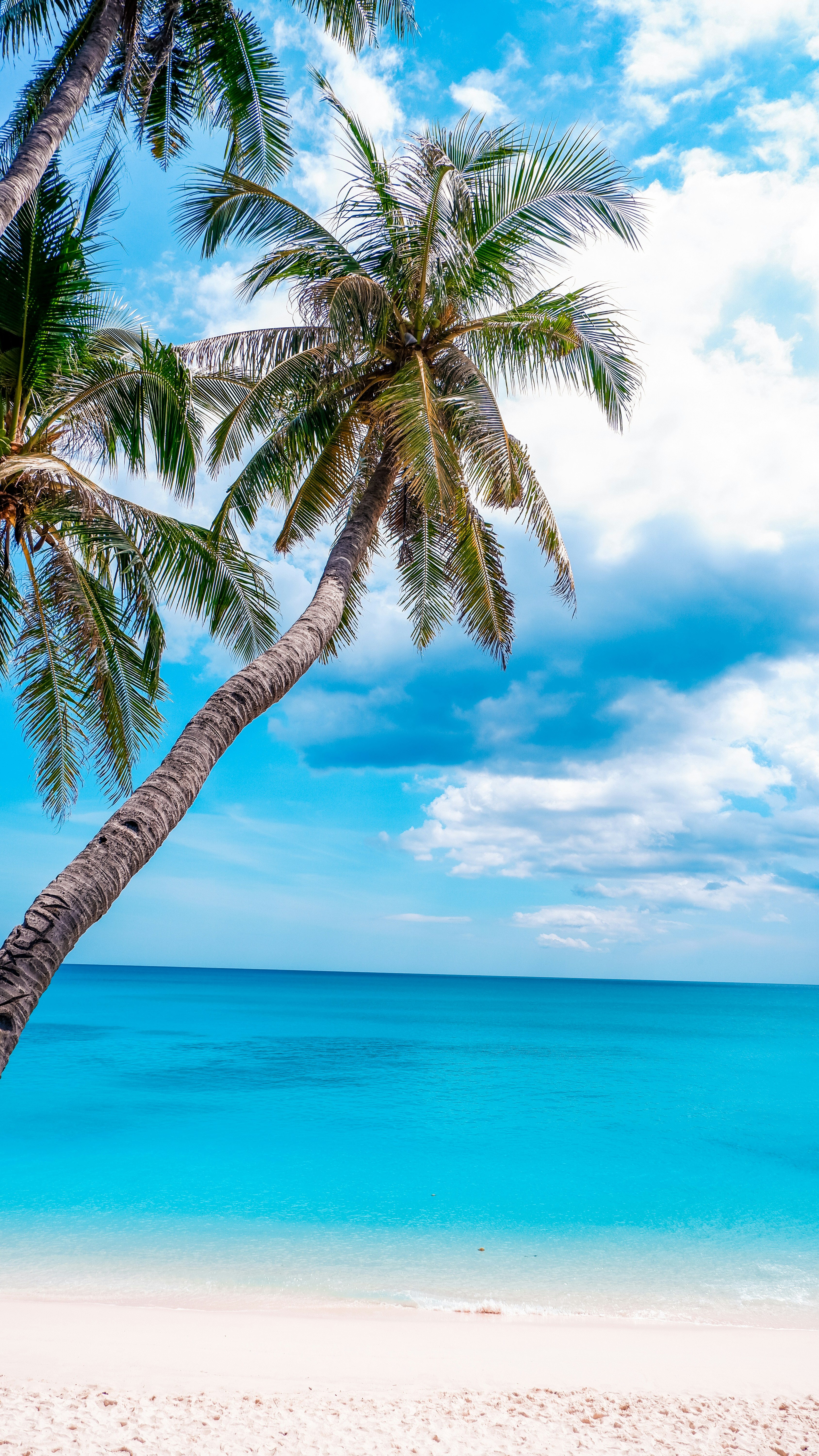 Photo by darkroomspace