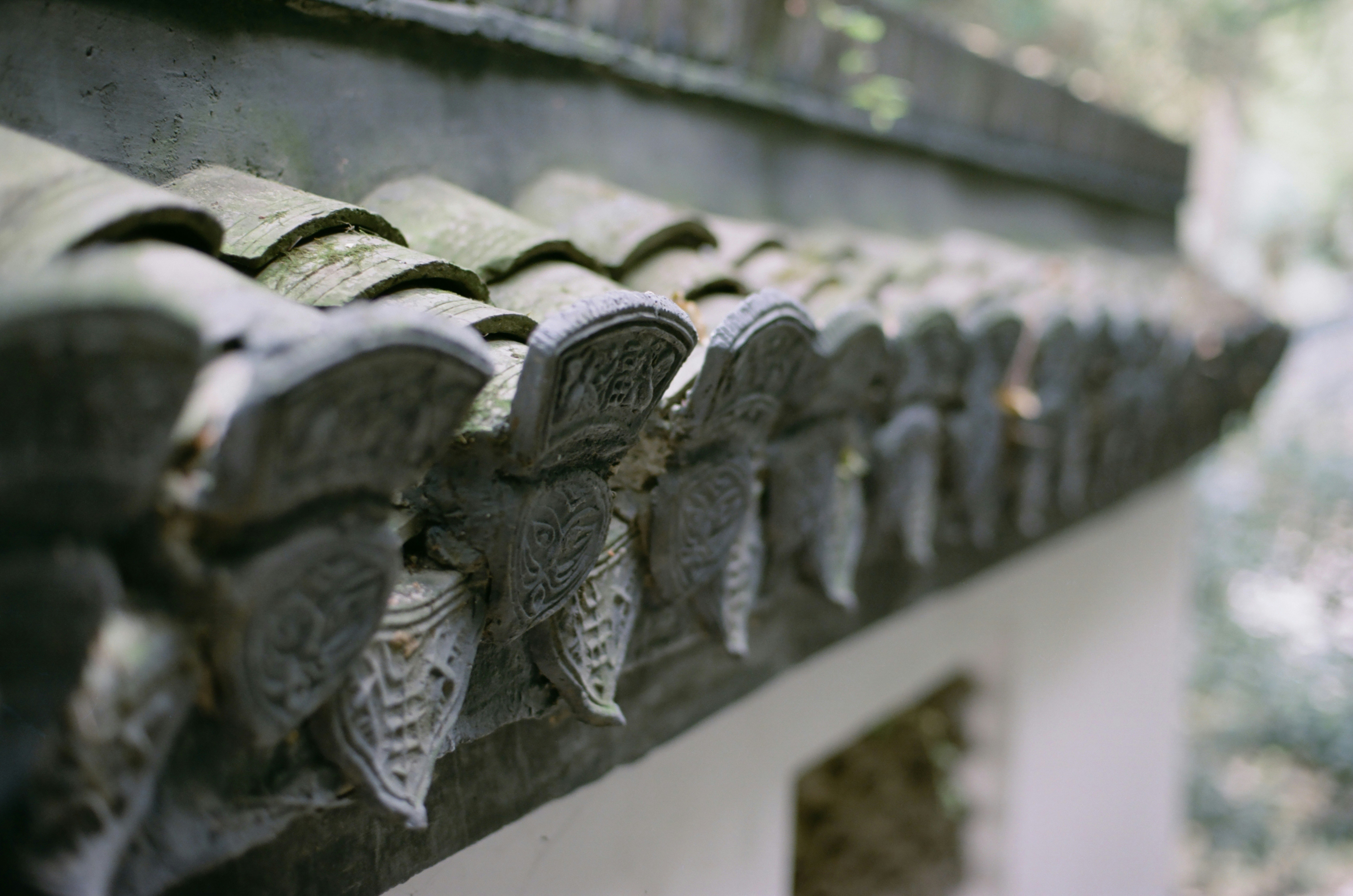 Photo by geraltyichen