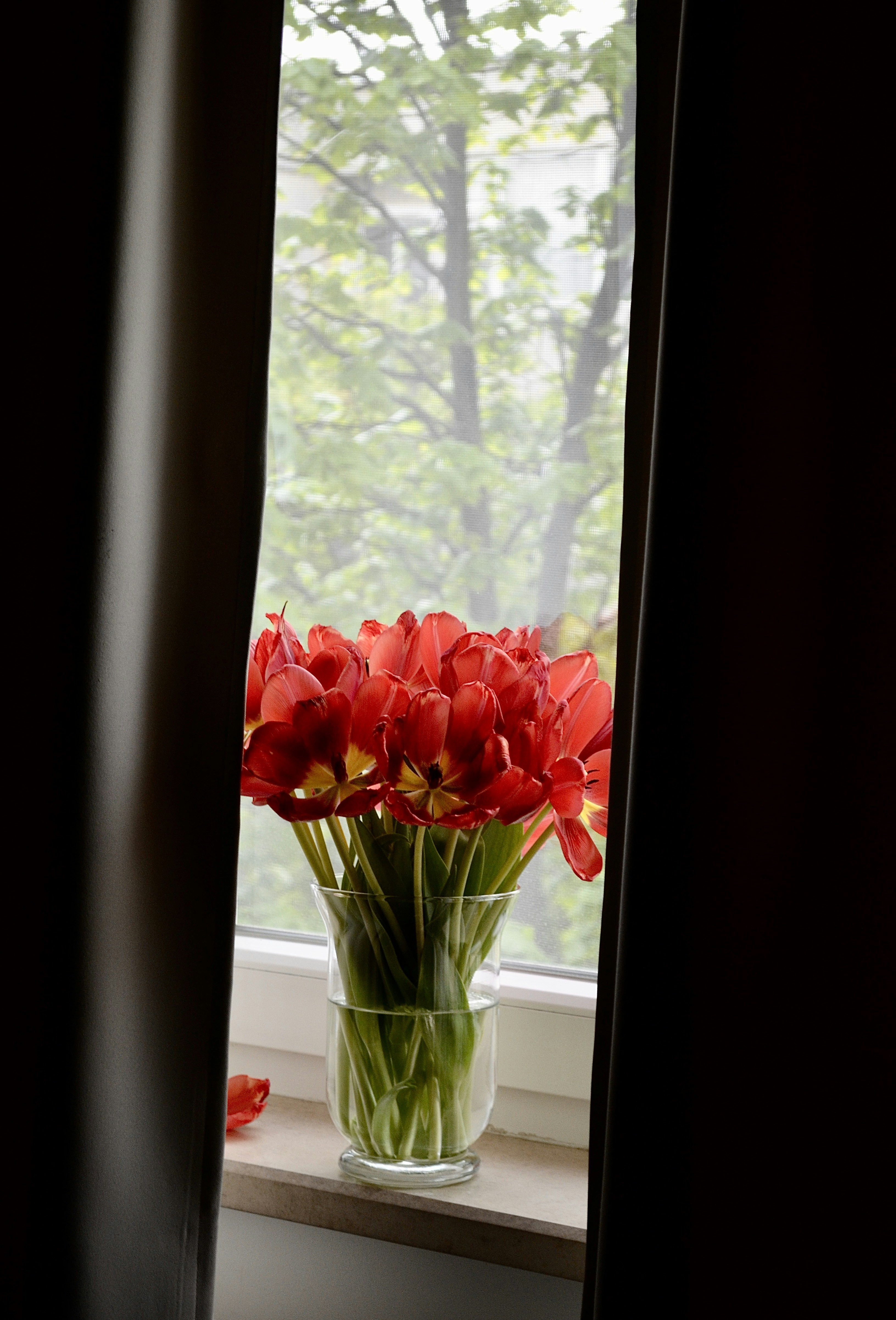 Photo by martipaan