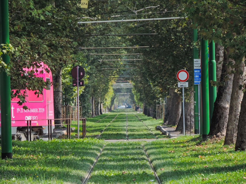 a train going through a tunnel