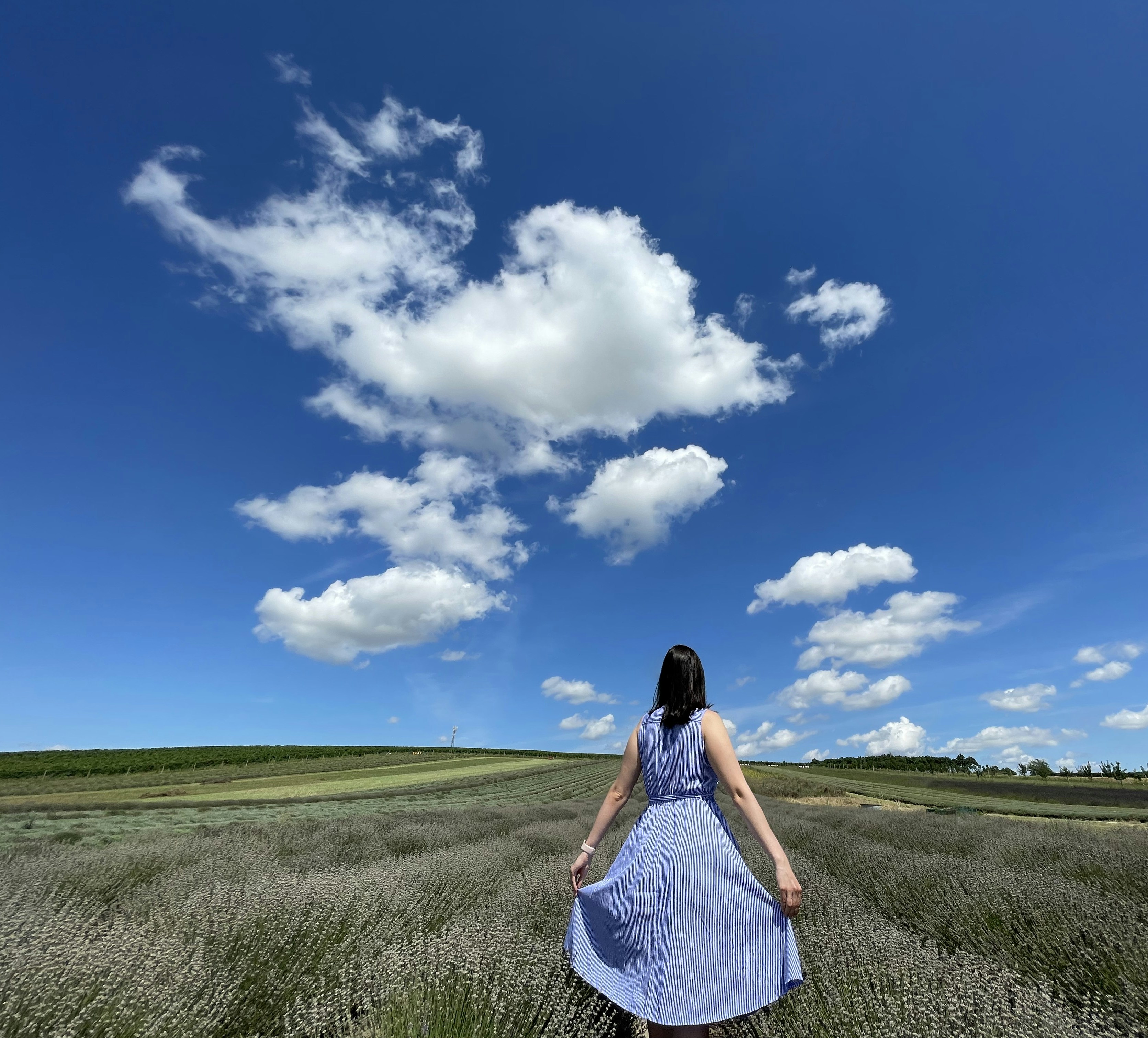 Elegant Casual Dress