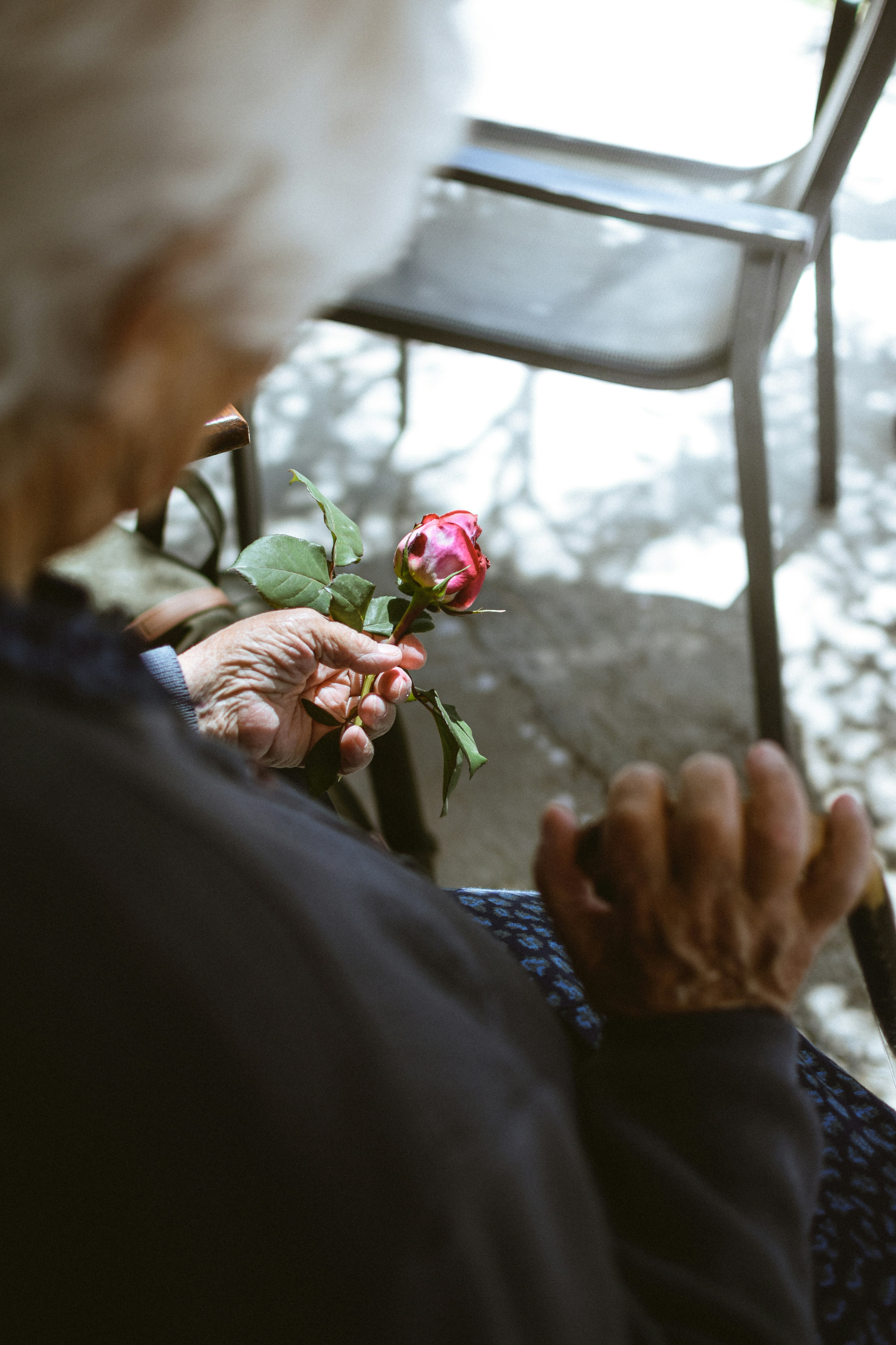 Widowed individuals benefits