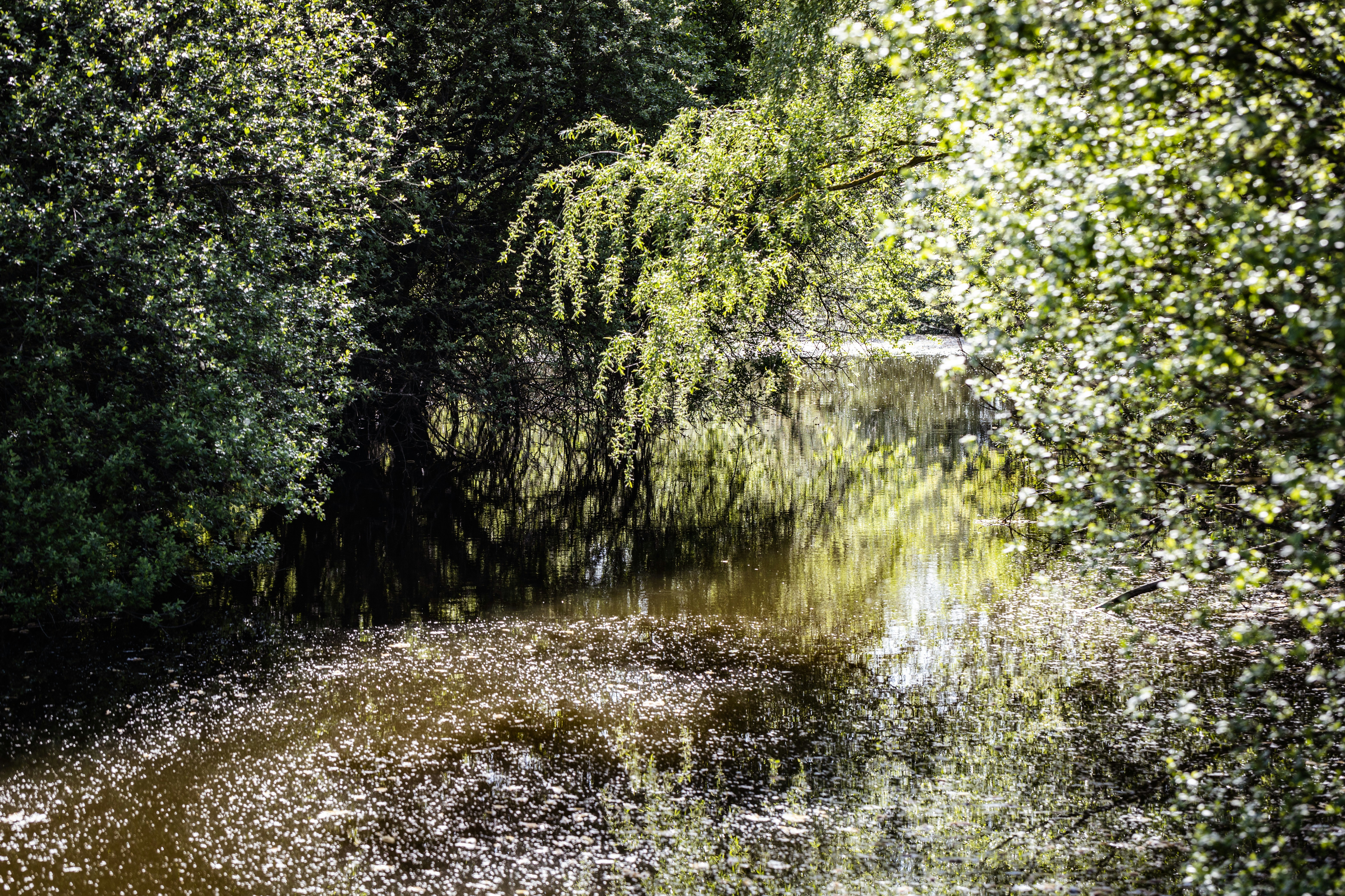 Photo by grievek1610begur