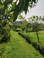 a green field with trees