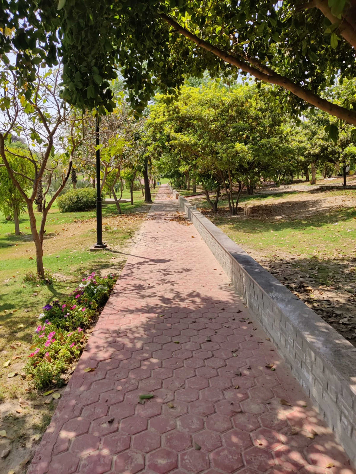 Smart lighting pole installation and electrical infrastructure setup at an urban park development site in India