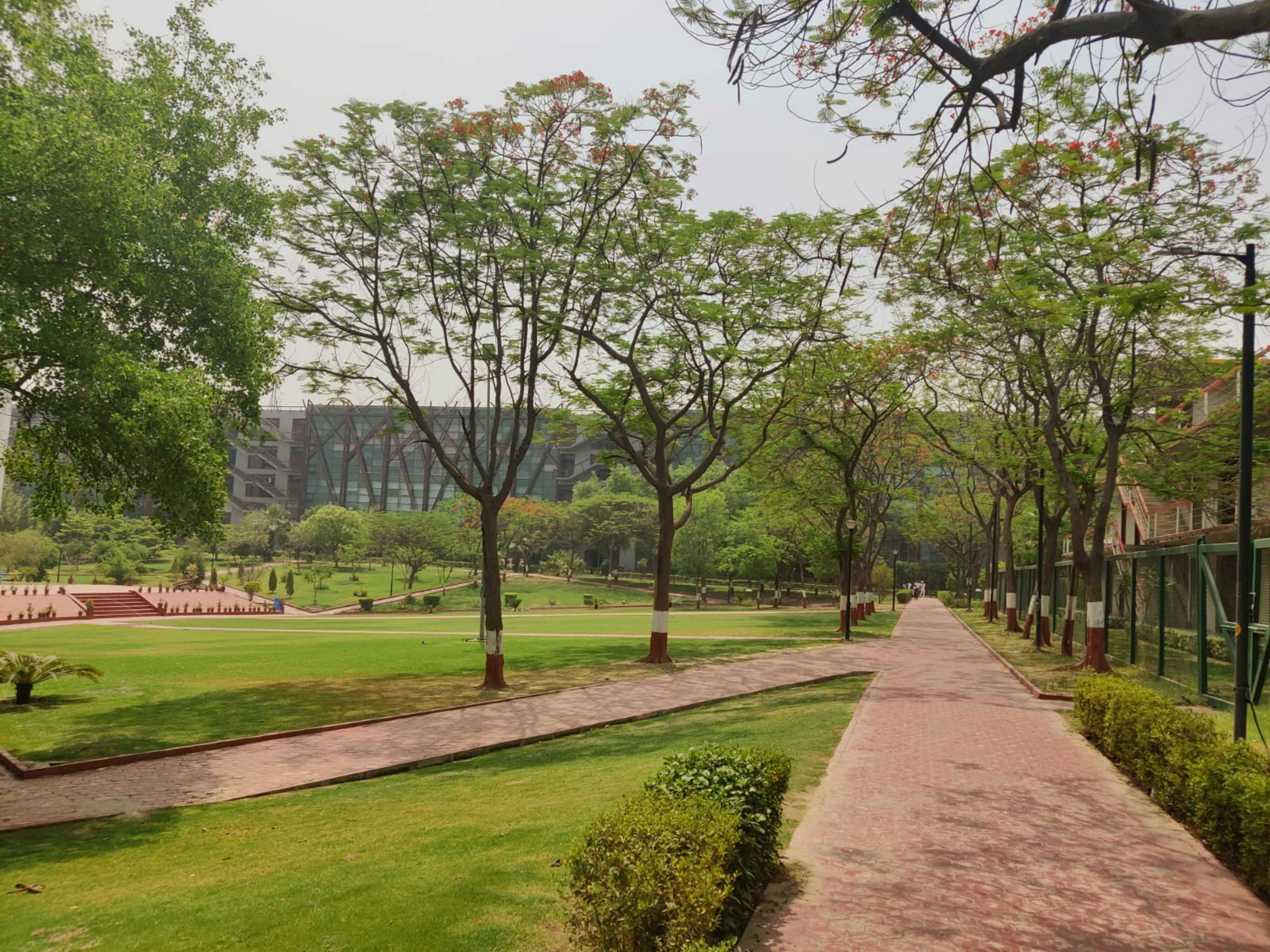 Photo by manasidubey07