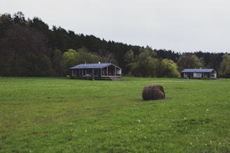 A serene rural landscape features two modern, single-story wooden houses set against a backdrop of dense, leafy forest. The foreground is dominated by a grassy field with a round hay bale prominently placed. The scene is tranquil with an overcast sky diffusing soft light over the lush, green surroundings.