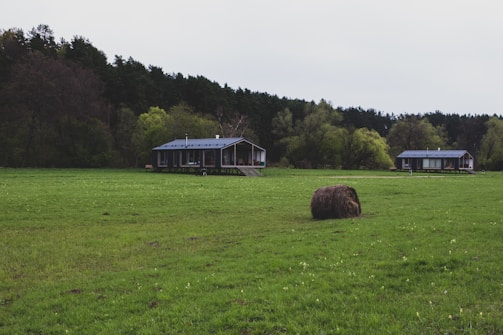 A serene rural landscape features two modern, single-story wooden houses set against a backdrop of dense, leafy forest. The foreground is dominated by a grassy field with a round hay bale prominently placed. The scene is tranquil with an overcast sky diffusing soft light over the lush, green surroundings.