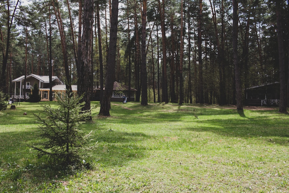 a house in a wooded area