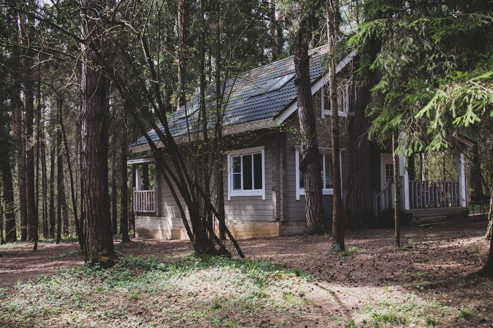a house in the woods