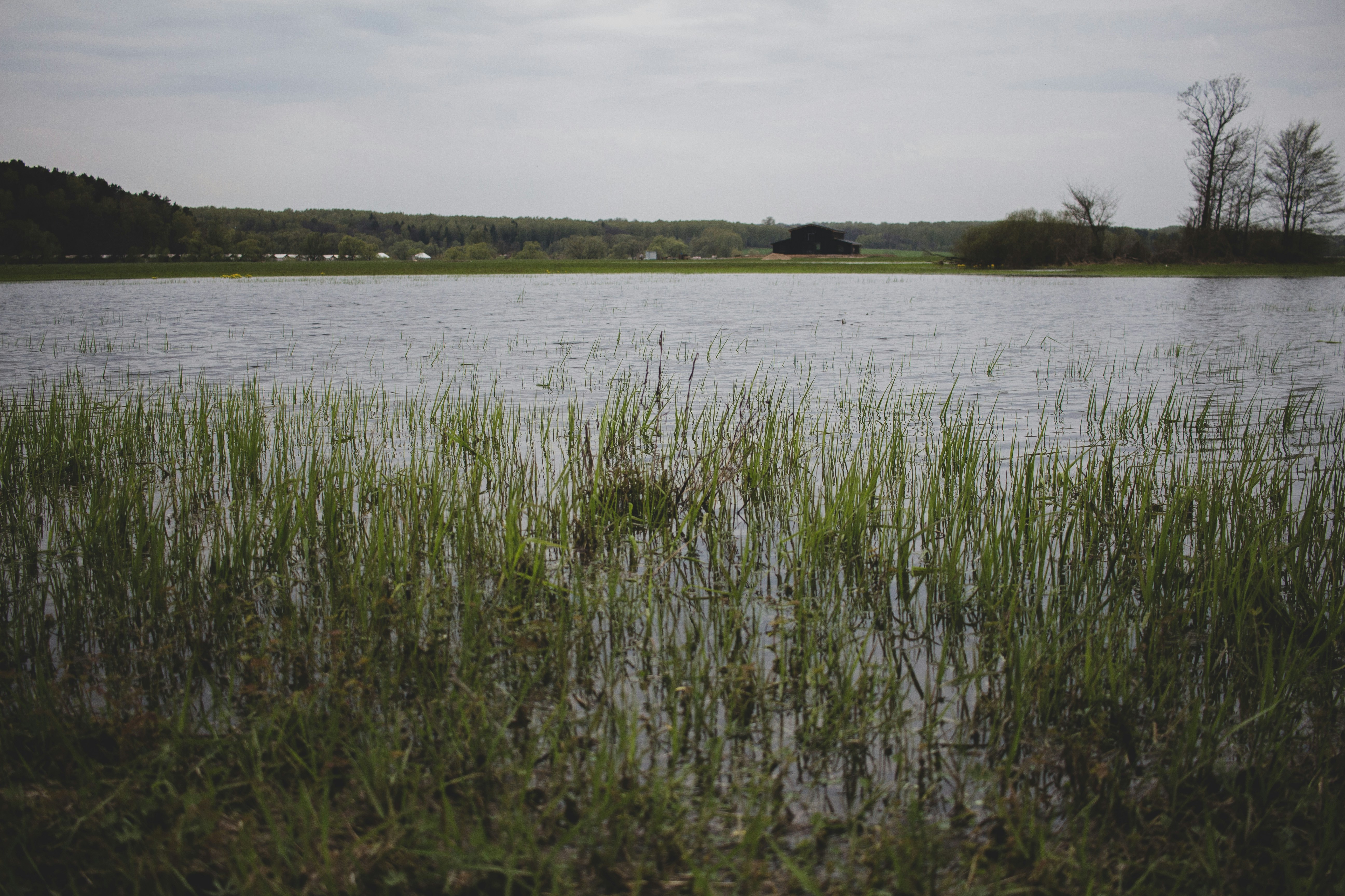 Choose from a curated selection of grass backgrounds. Always free on Unsplash.